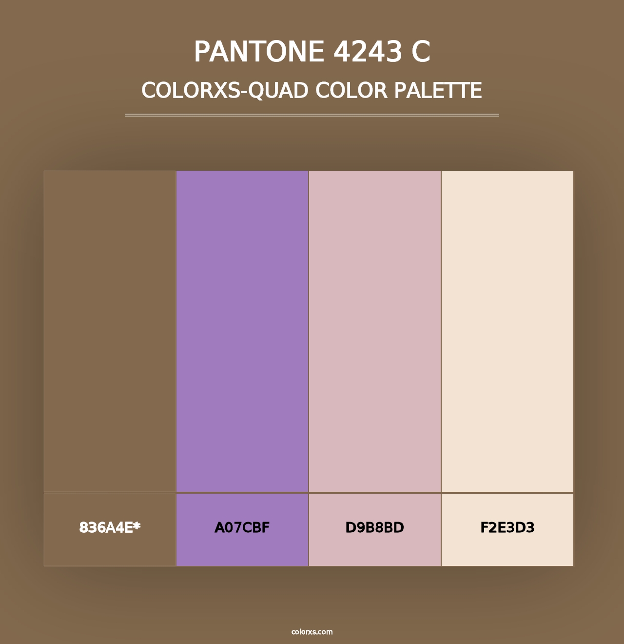 PANTONE 4243 C - Colorxs Quad Palette