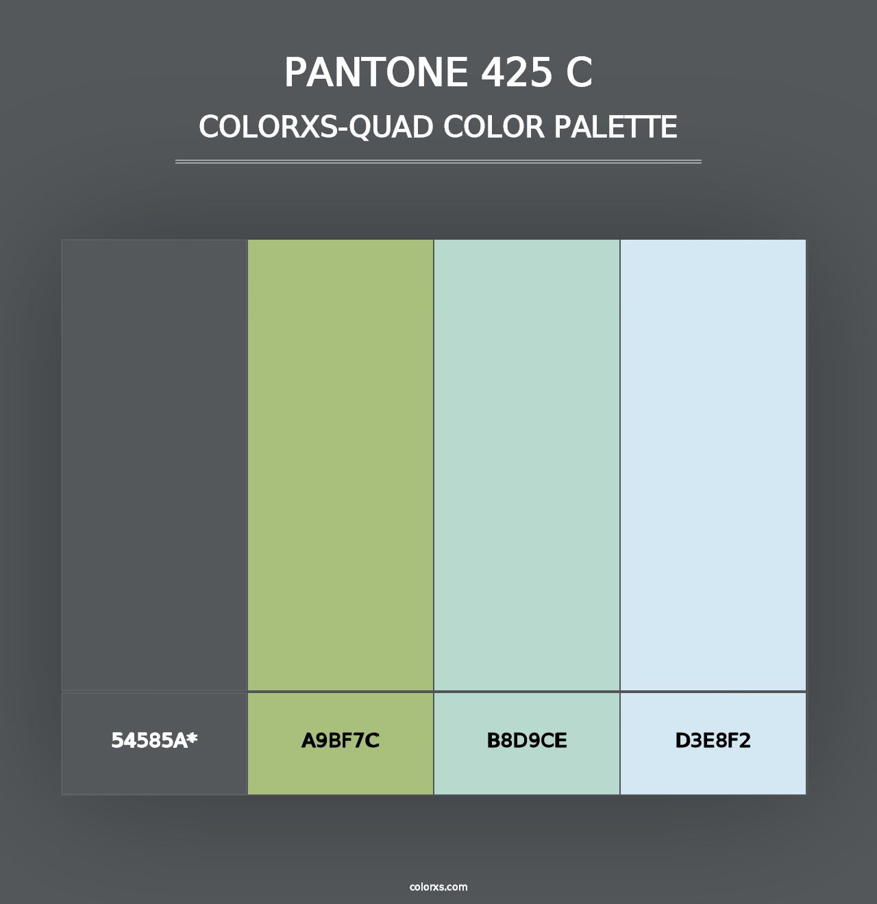 PANTONE 425 C - Colorxs Quad Palette