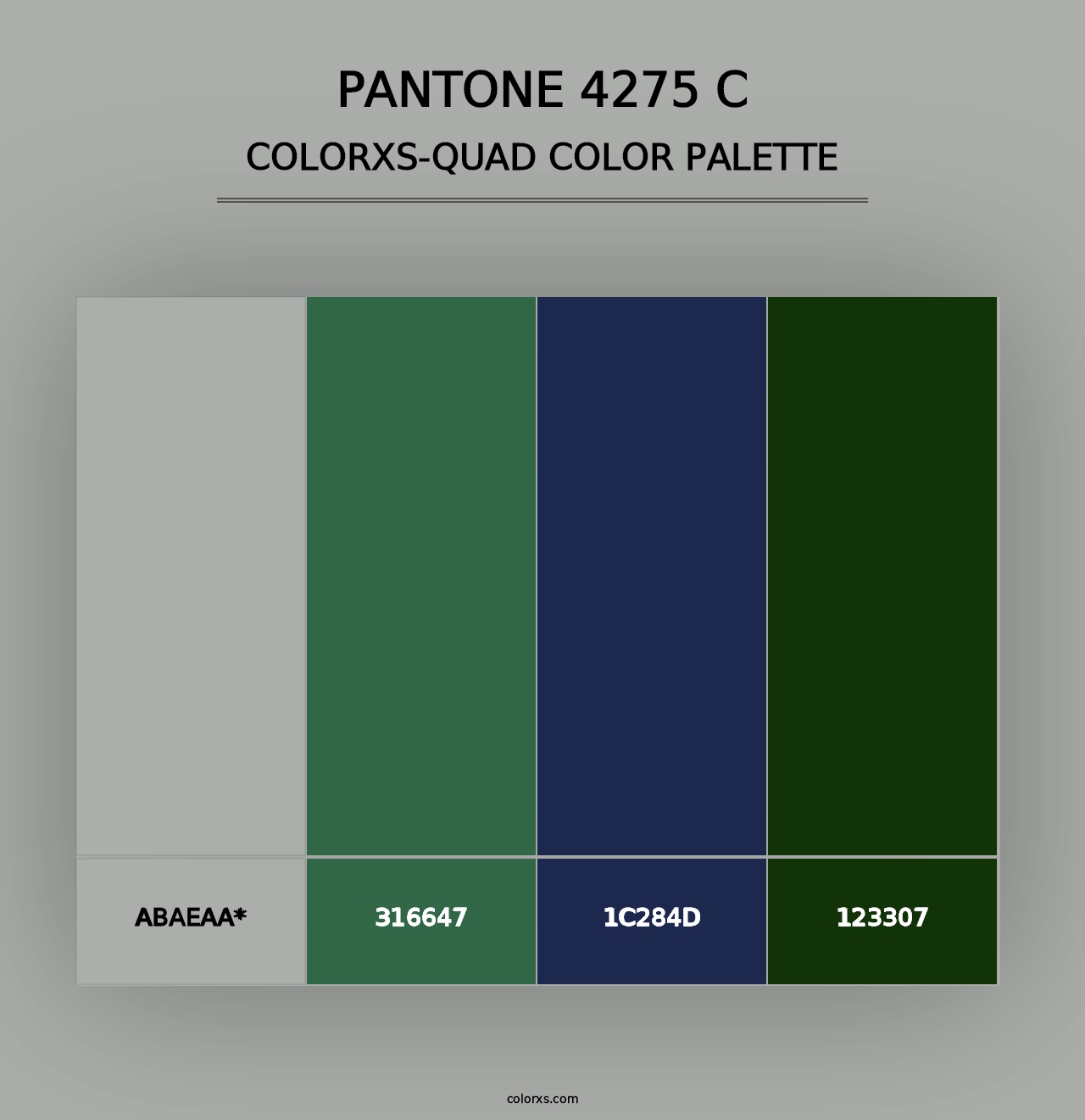 PANTONE 4275 C - Colorxs Quad Palette