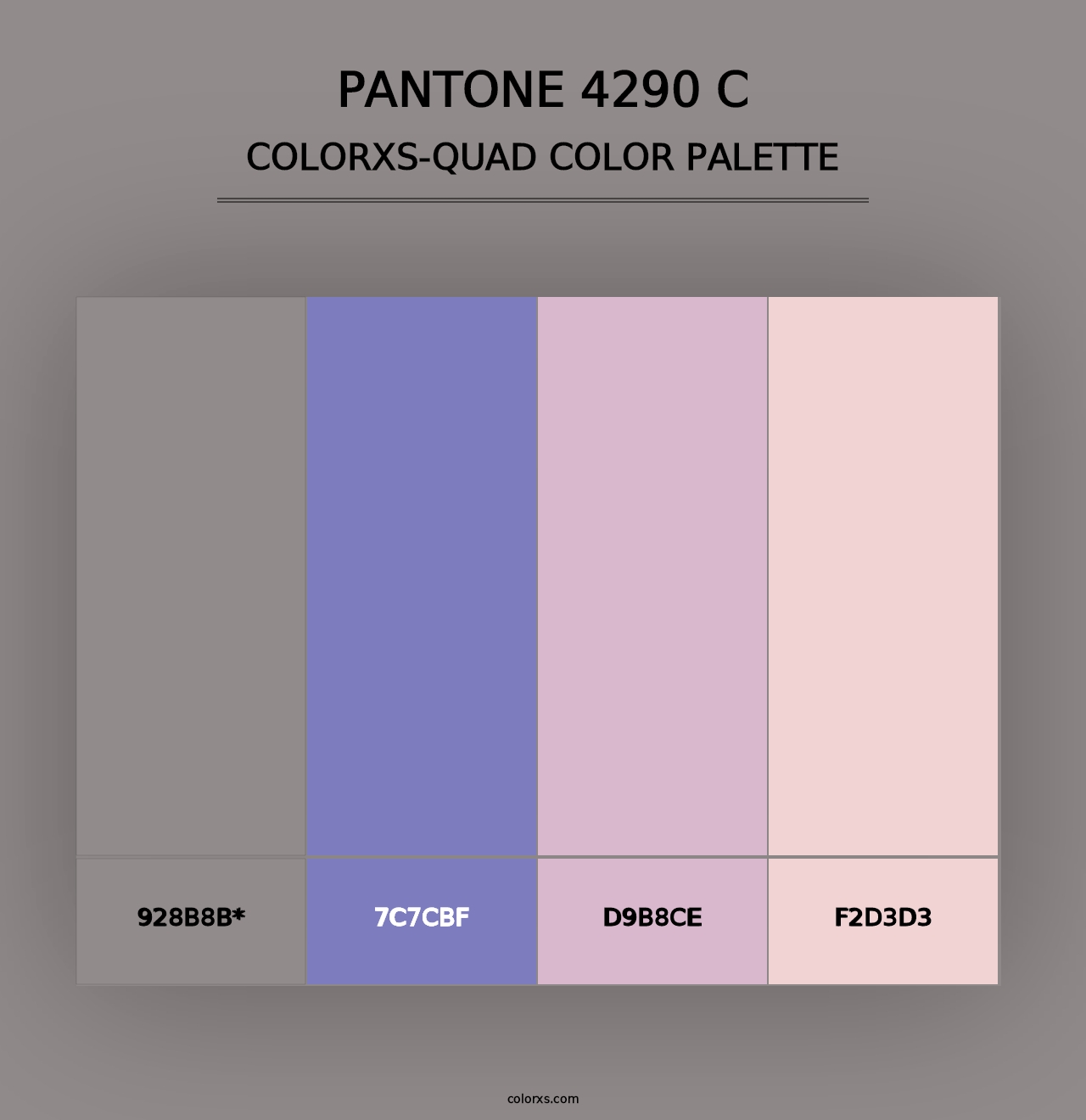 PANTONE 4290 C - Colorxs Quad Palette