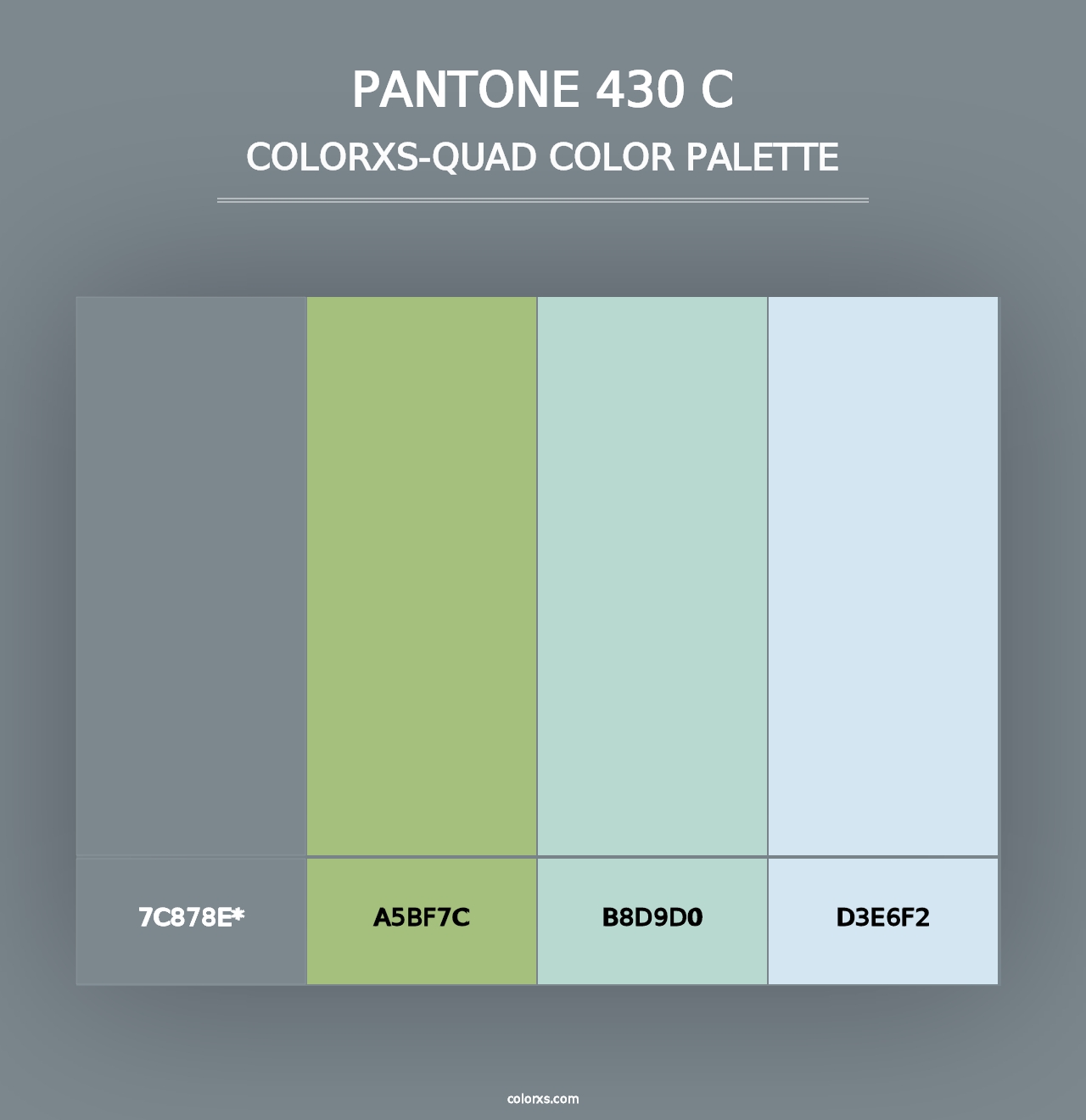 PANTONE 430 C - Colorxs Quad Palette