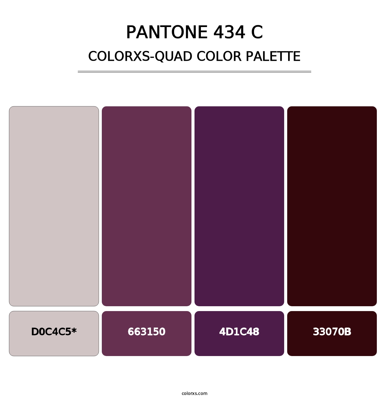 PANTONE 434 C - Colorxs Quad Palette