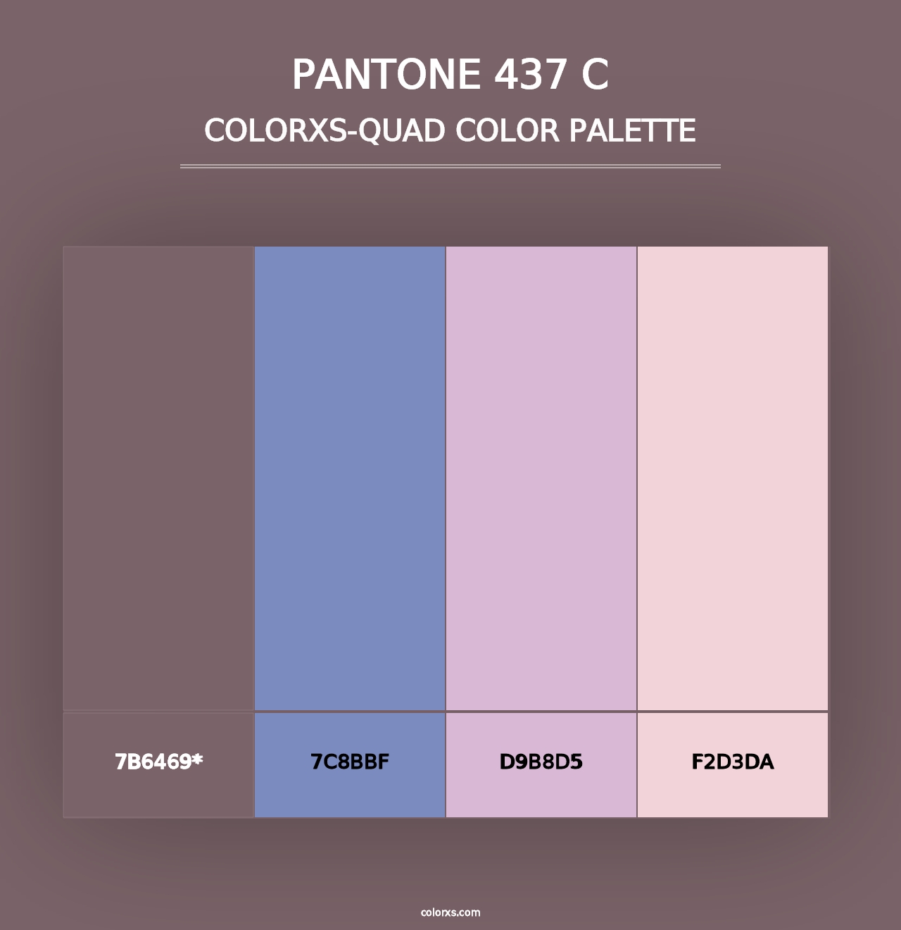 PANTONE 437 C - Colorxs Quad Palette