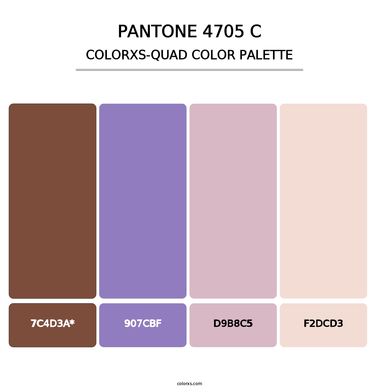 PANTONE 4705 C - Colorxs Quad Palette