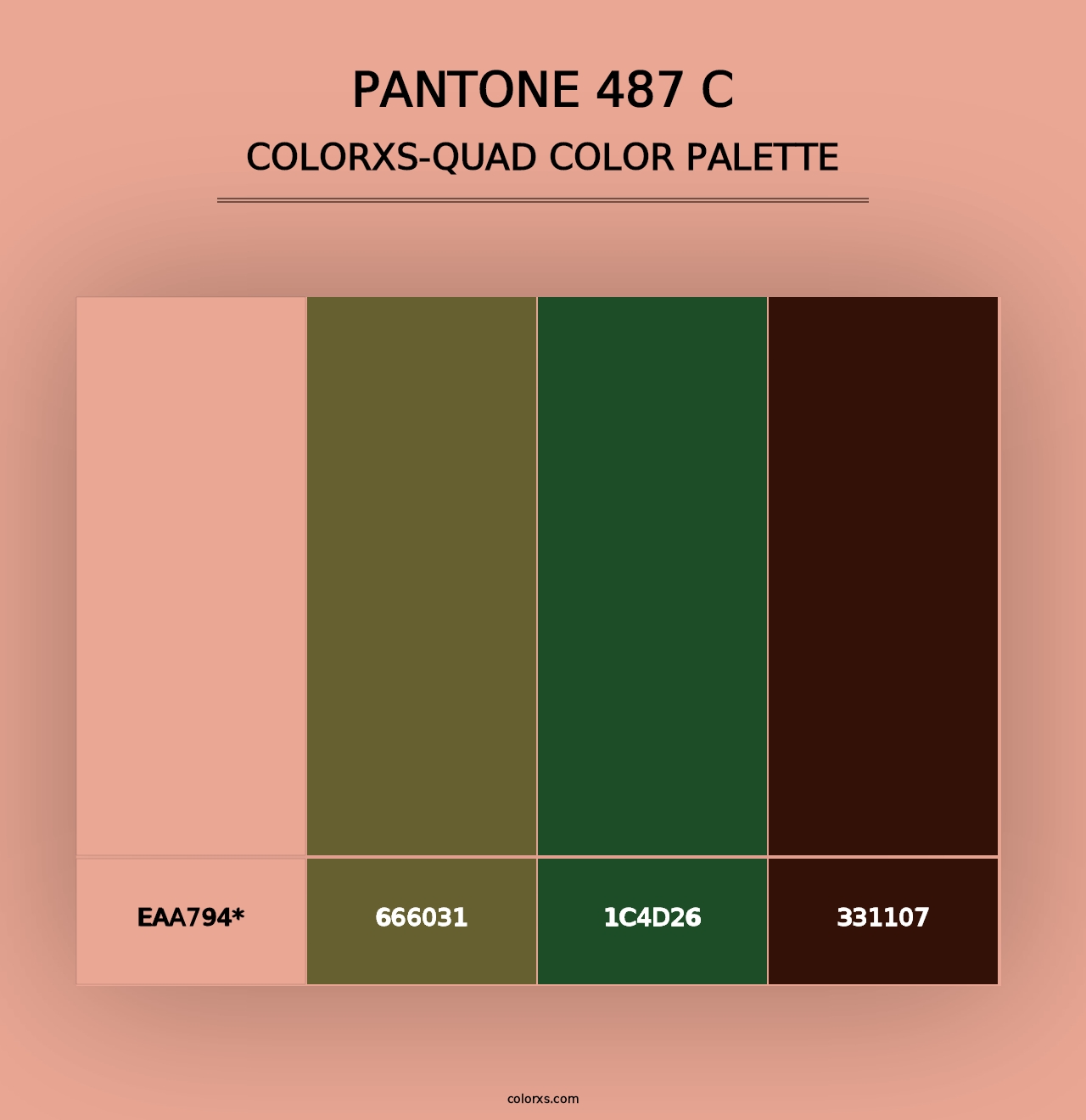 PANTONE 487 C - Colorxs Quad Palette