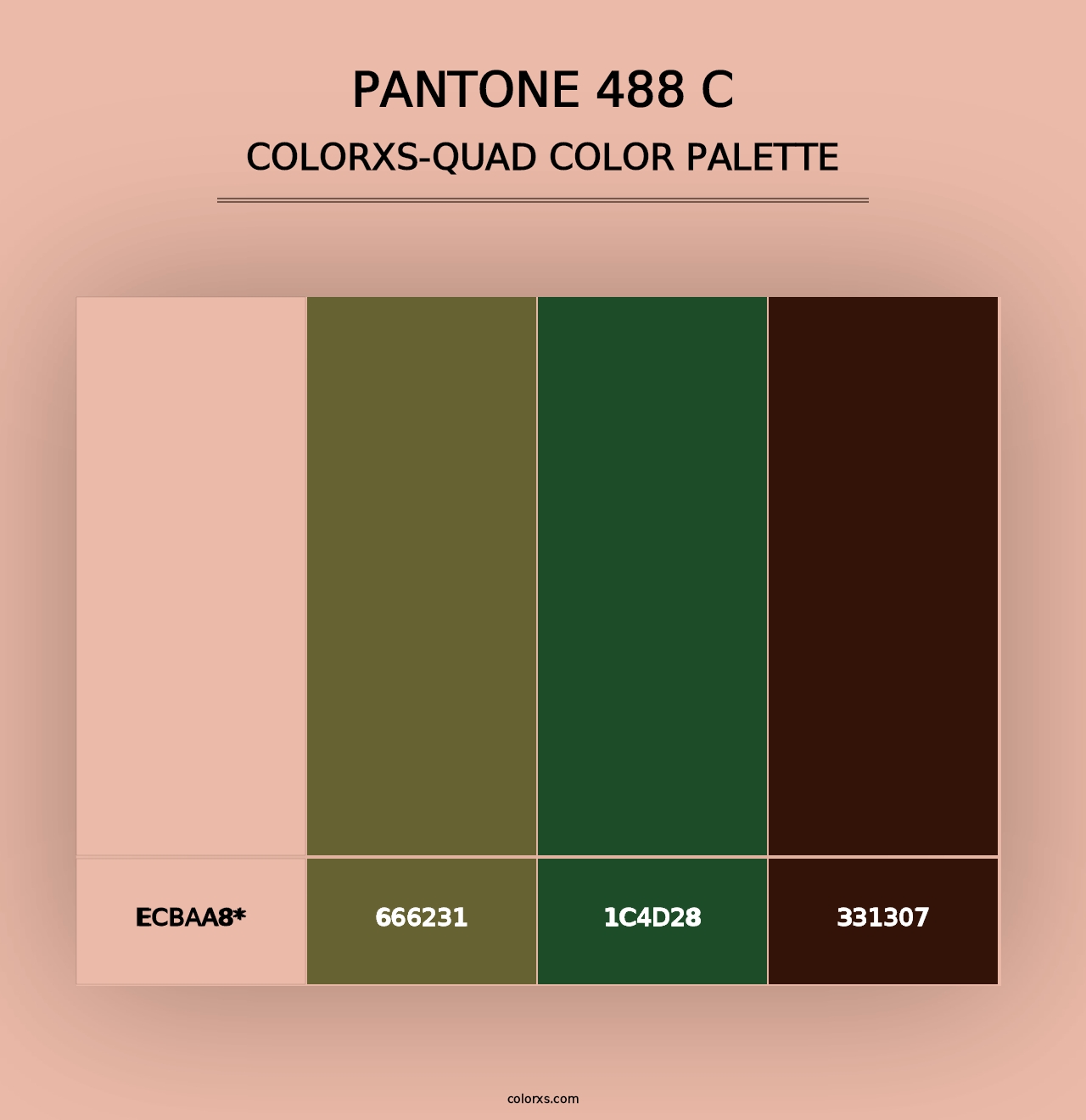 PANTONE 488 C - Colorxs Quad Palette