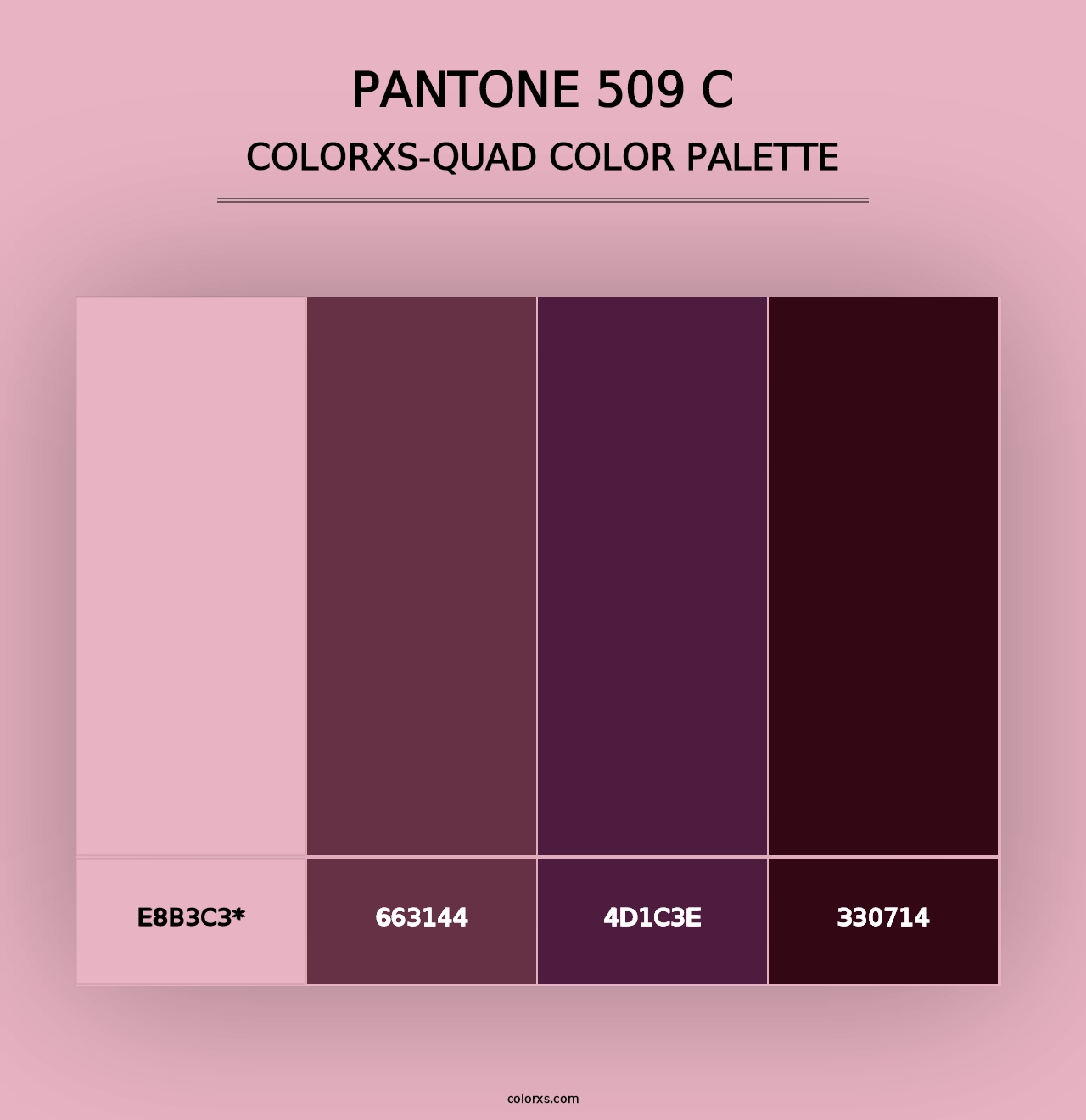 PANTONE 509 C - Colorxs Quad Palette