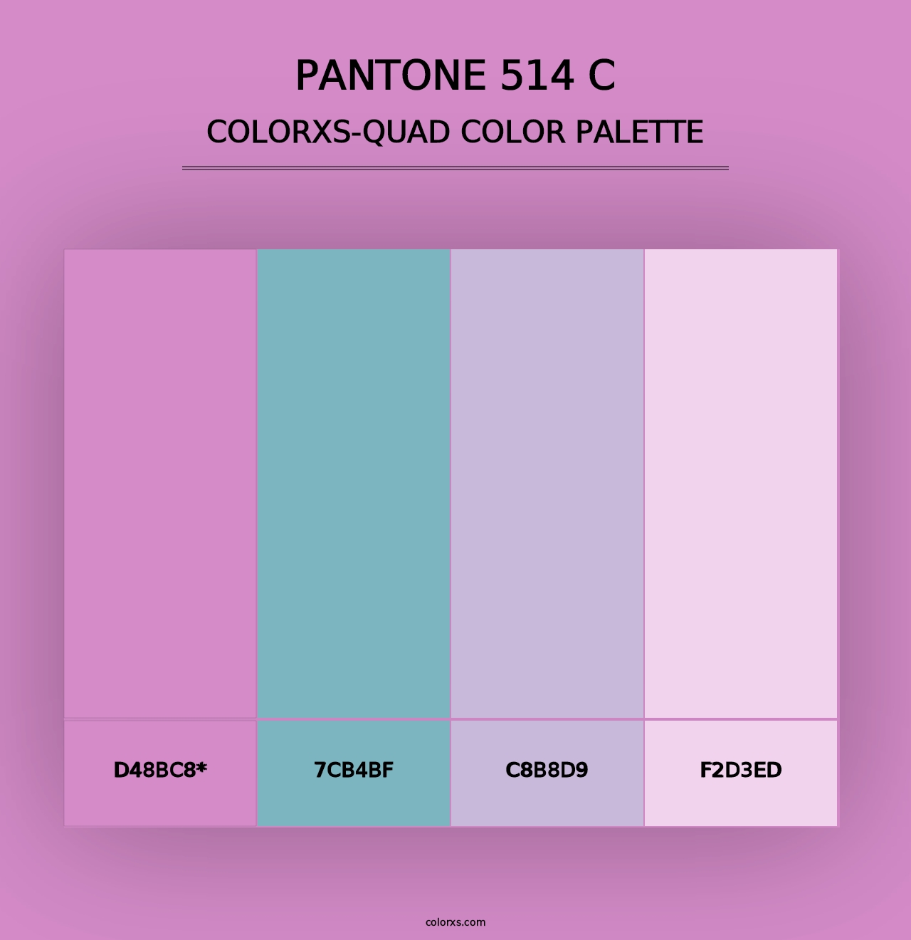 PANTONE 514 C - Colorxs Quad Palette