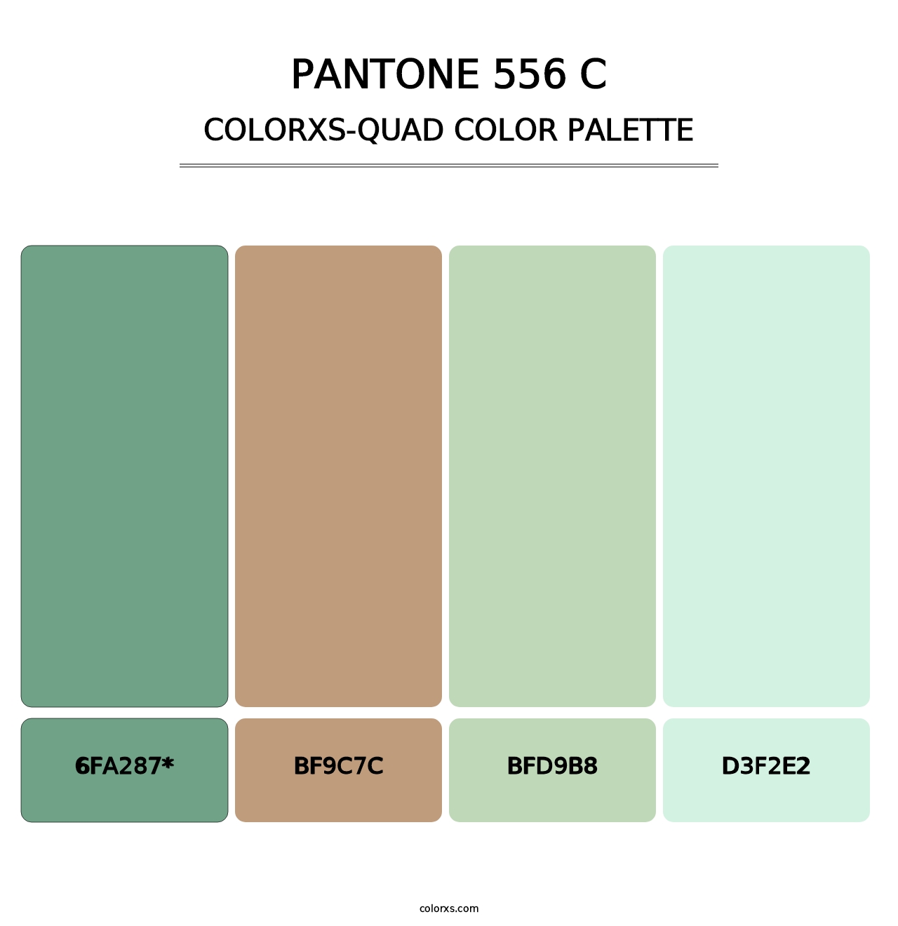 PANTONE 556 C - Colorxs Quad Palette