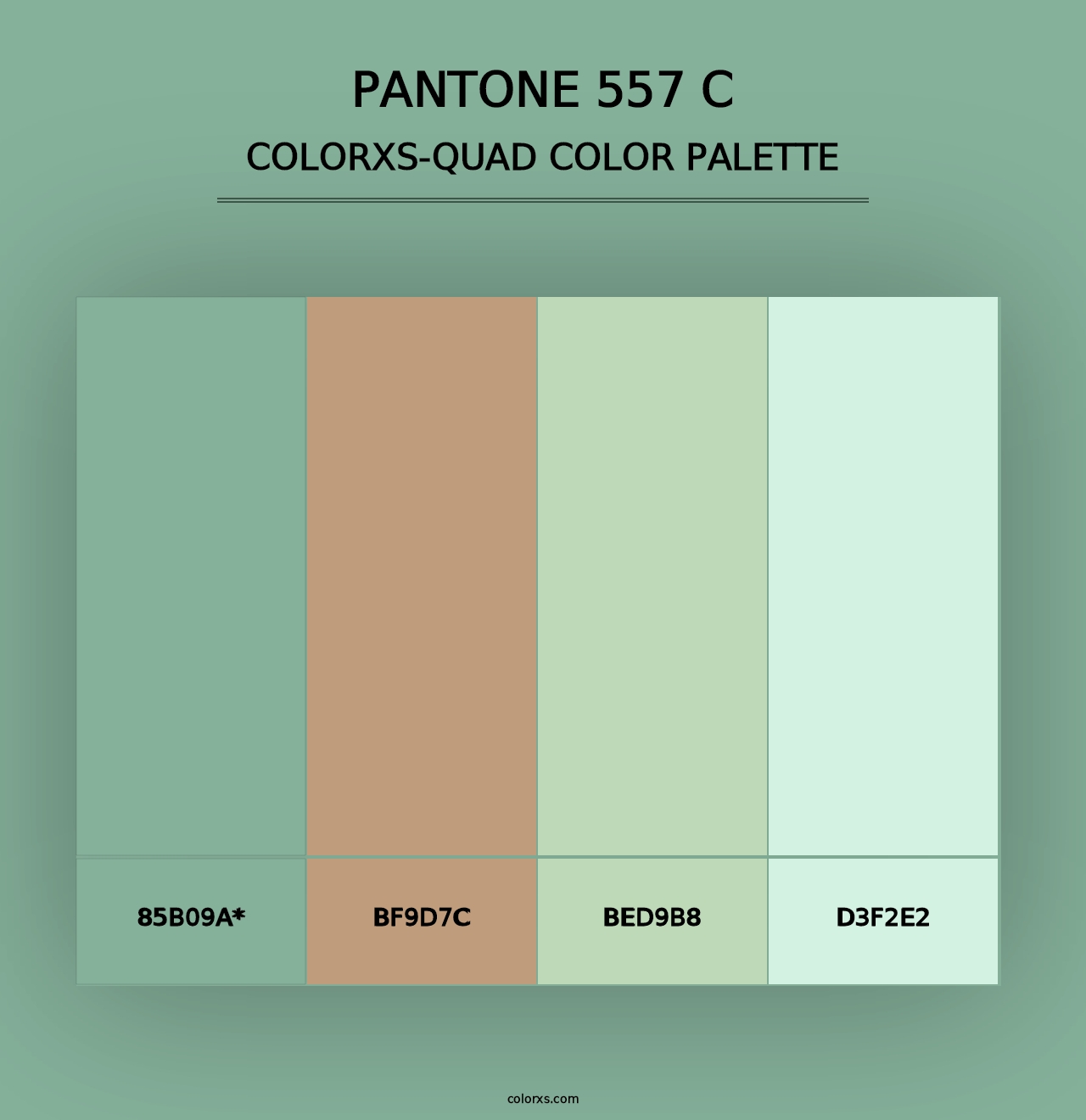 PANTONE 557 C - Colorxs Quad Palette