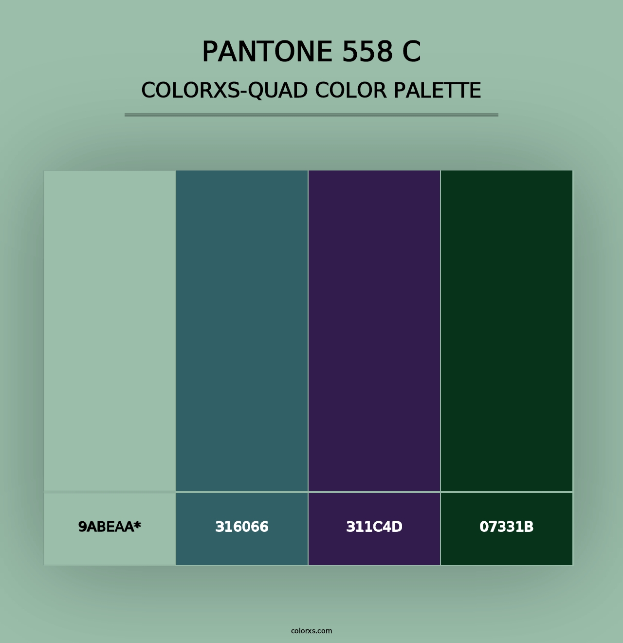 PANTONE 558 C - Colorxs Quad Palette