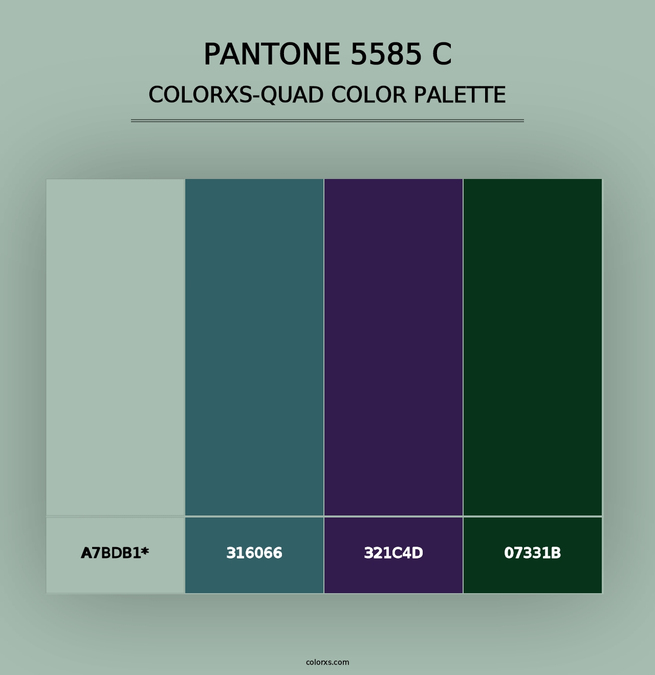 PANTONE 5585 C - Colorxs Quad Palette