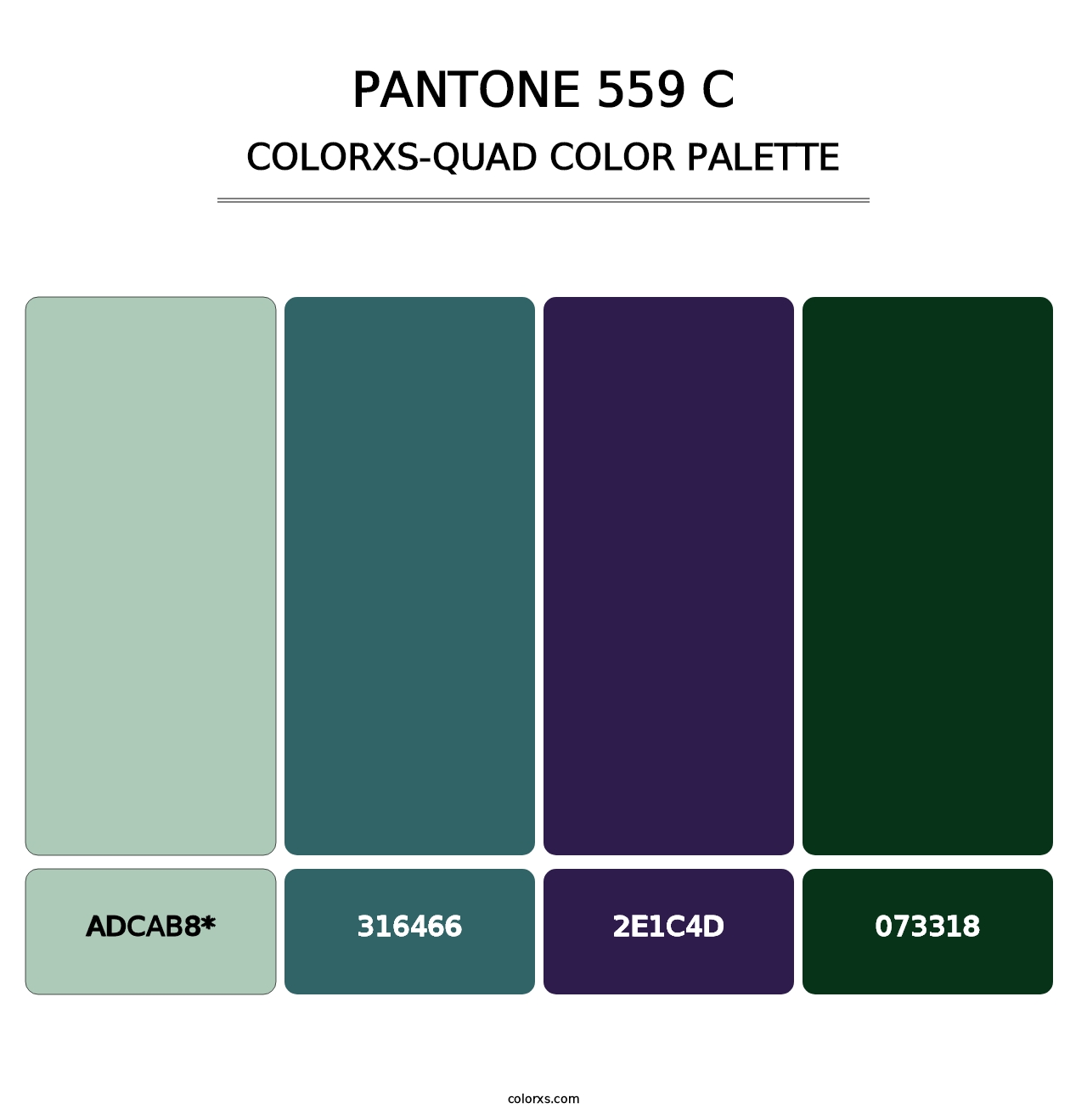 PANTONE 559 C - Colorxs Quad Palette