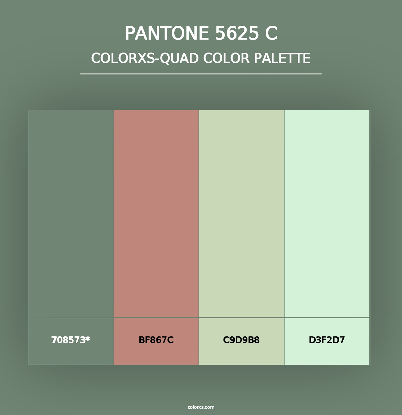 PANTONE 5625 C - Colorxs Quad Palette