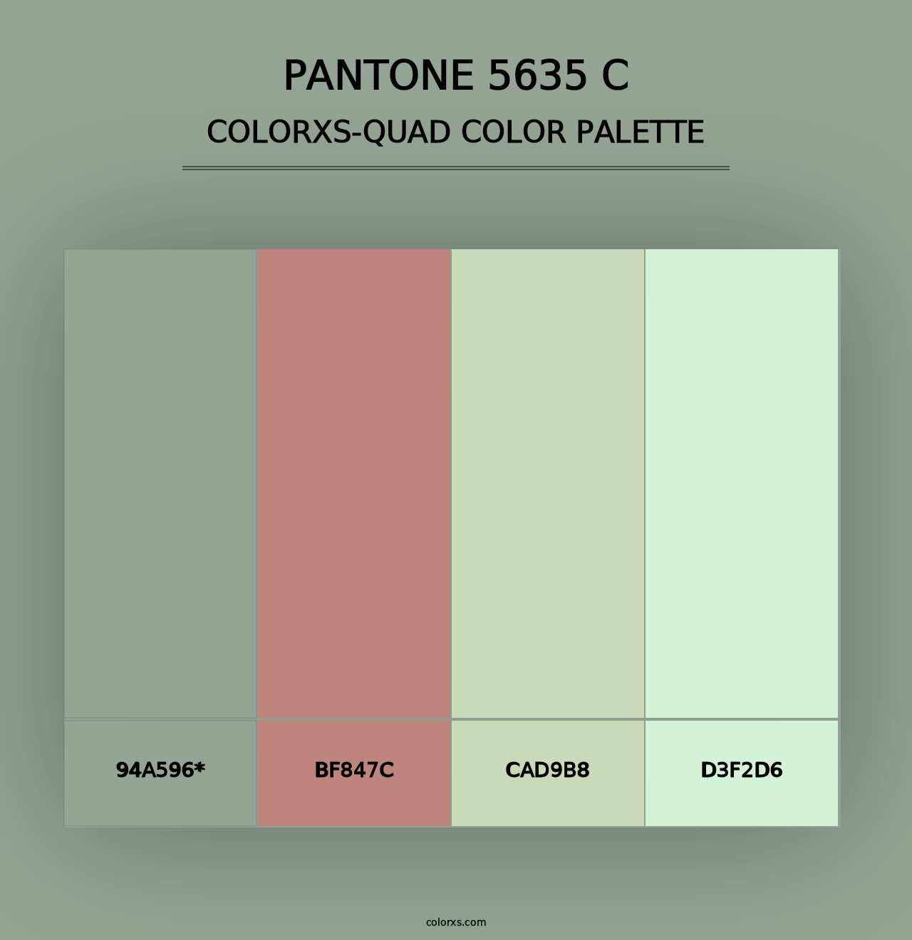 PANTONE 5635 C - Colorxs Quad Palette