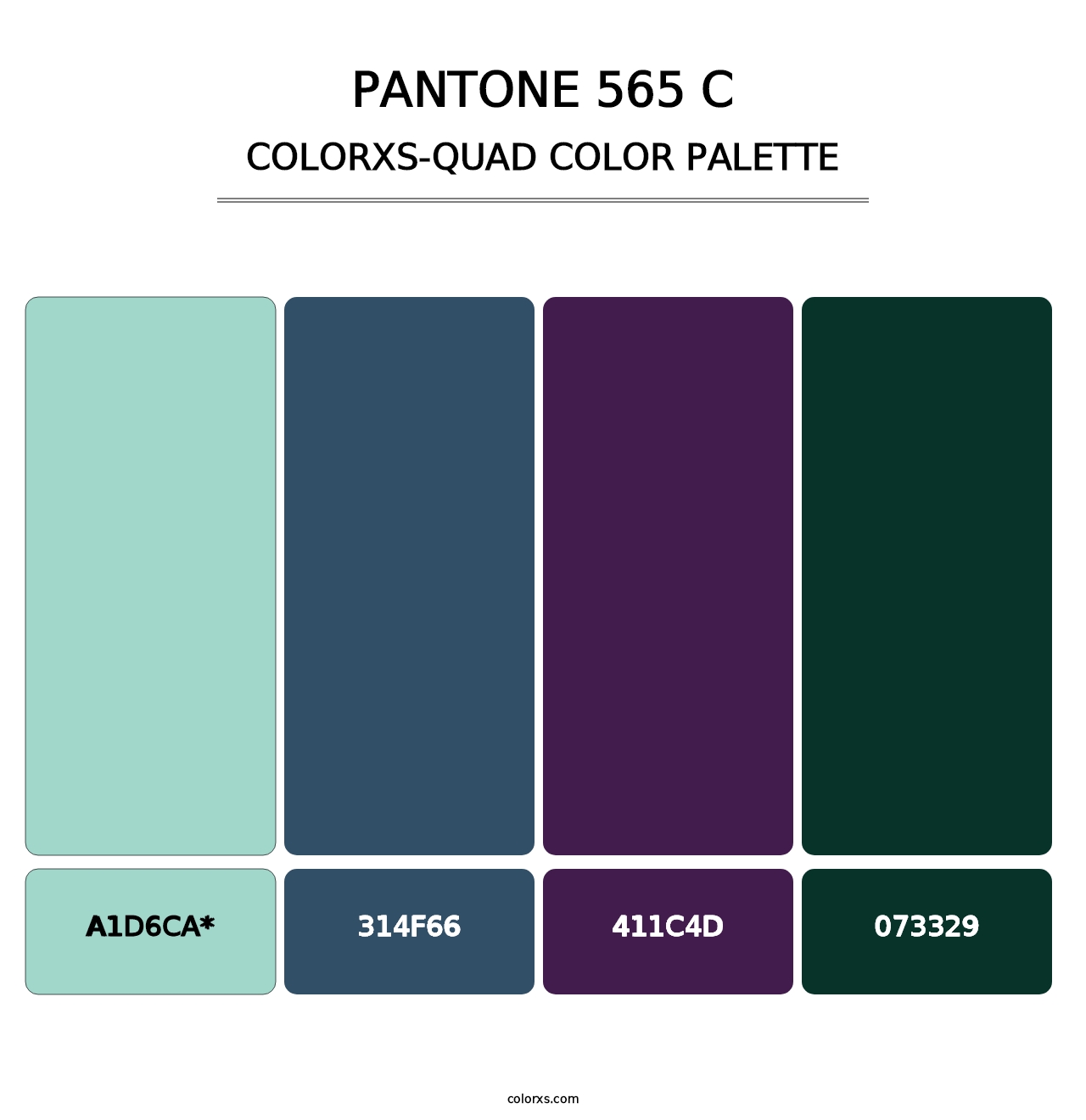 PANTONE 565 C - Colorxs Quad Palette