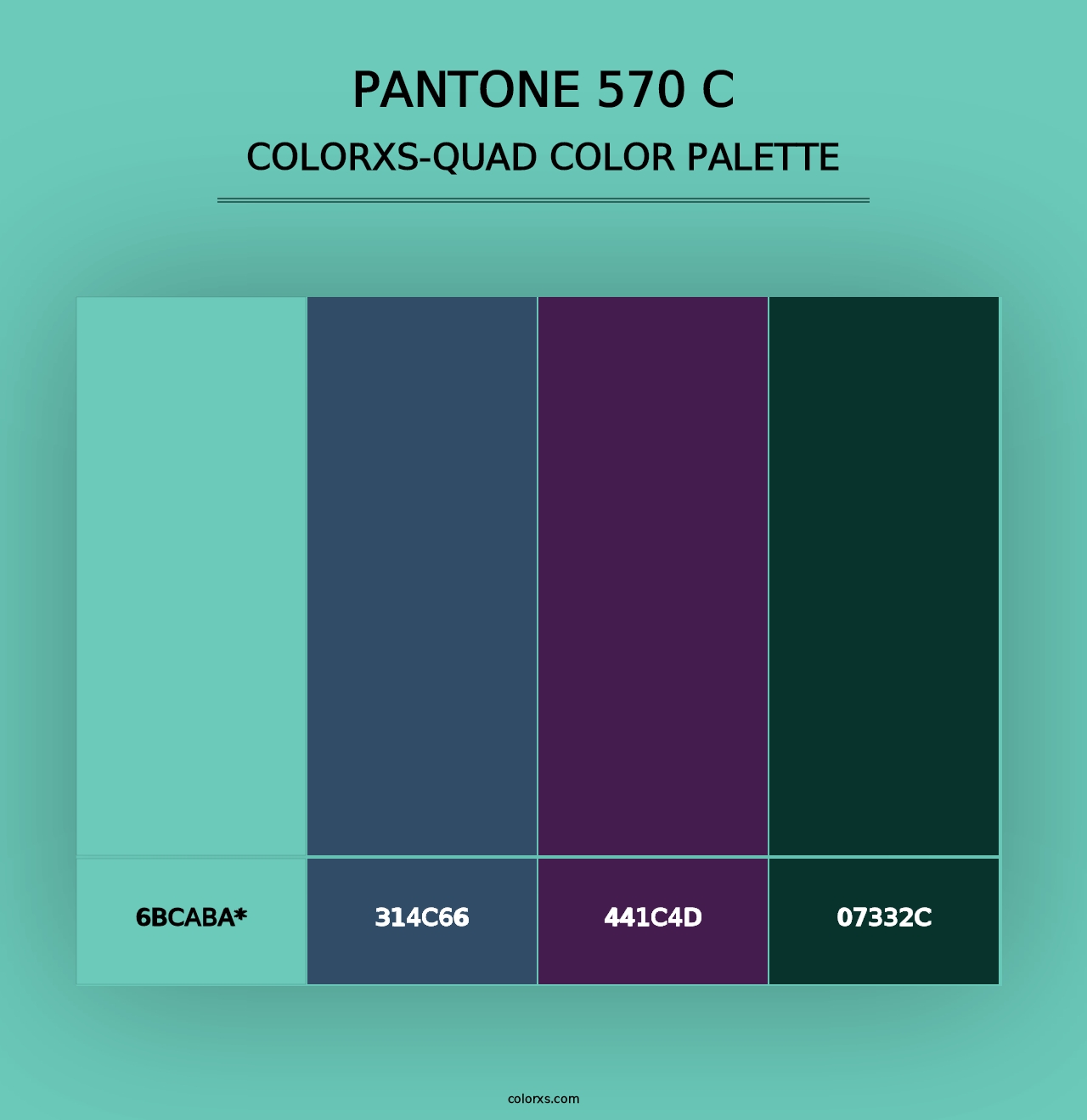 PANTONE 570 C - Colorxs Quad Palette