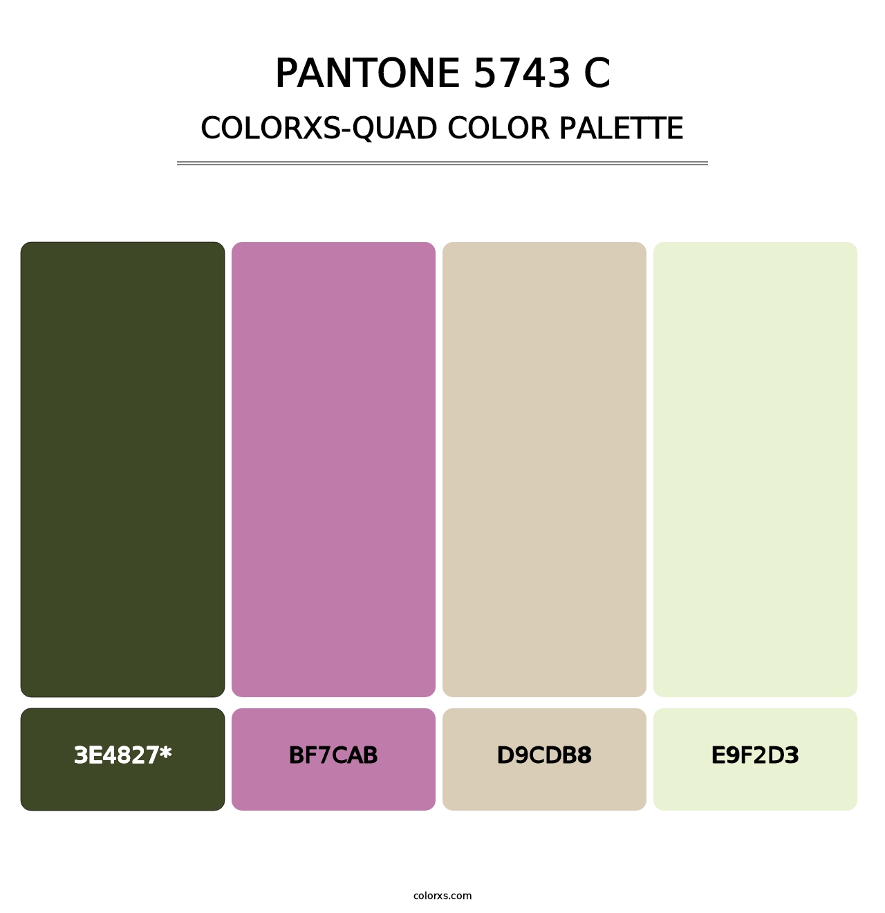 PANTONE 5743 C - Colorxs Quad Palette