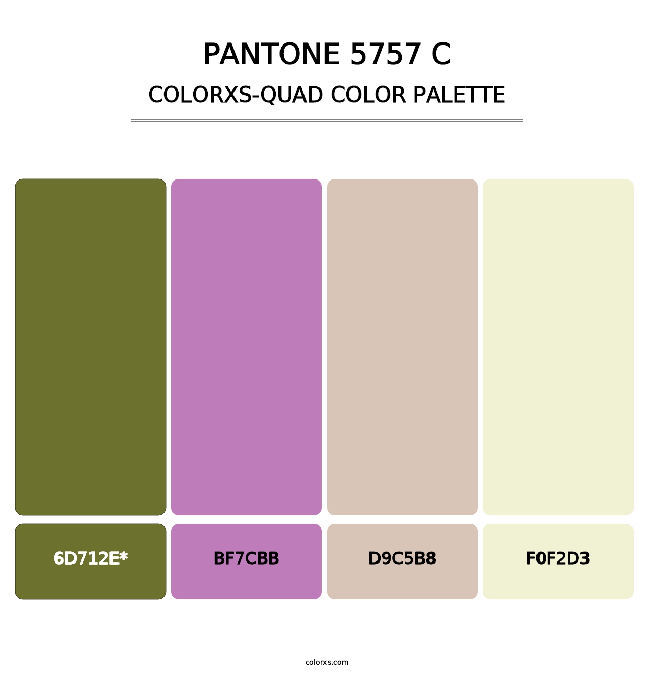 PANTONE 5757 C - Colorxs Quad Palette