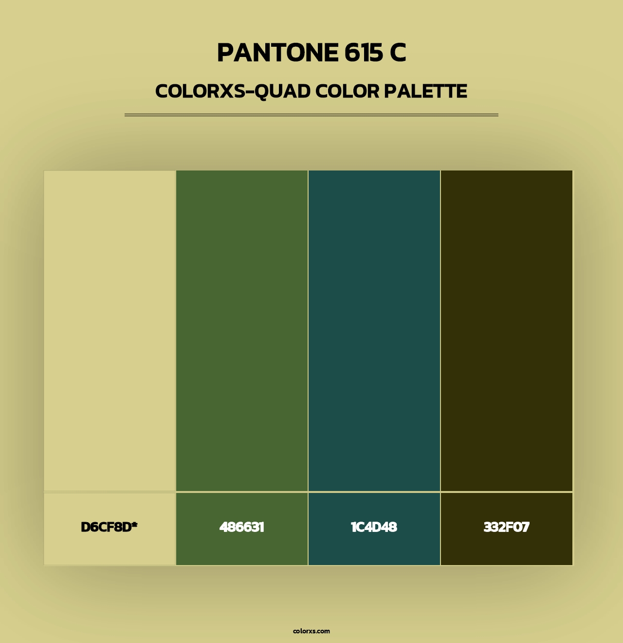 PANTONE 615 C - Colorxs Quad Palette