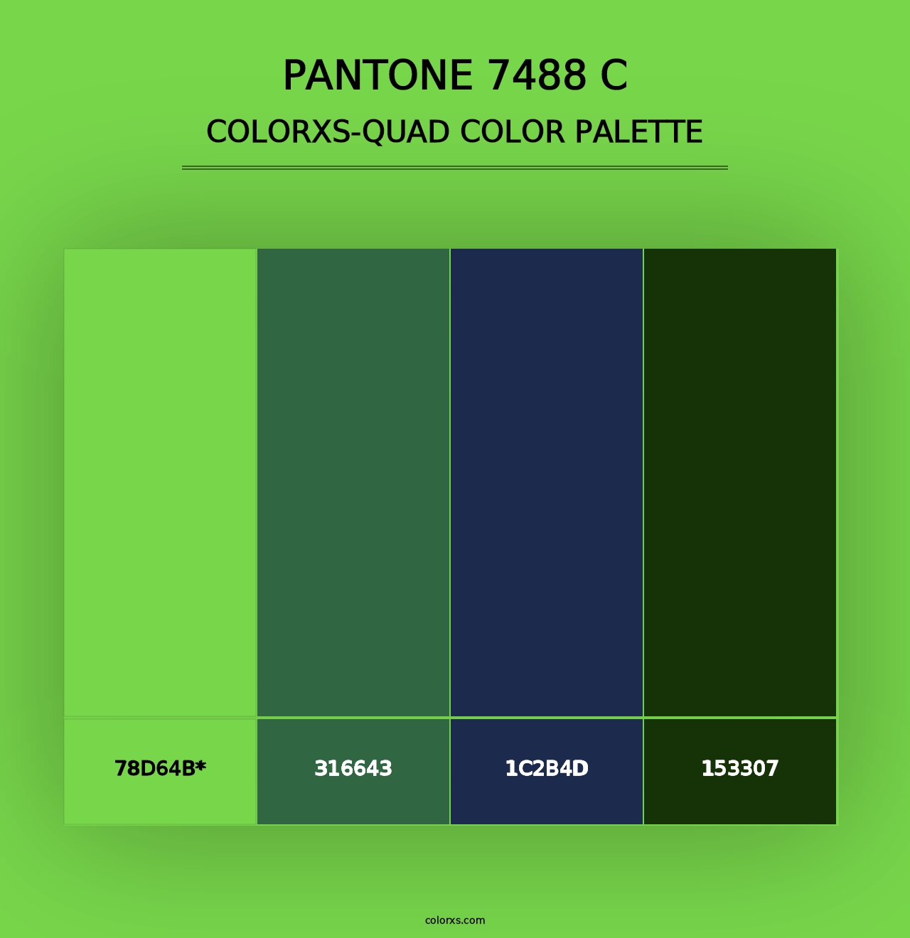 PANTONE 7488 C - Colorxs Quad Palette