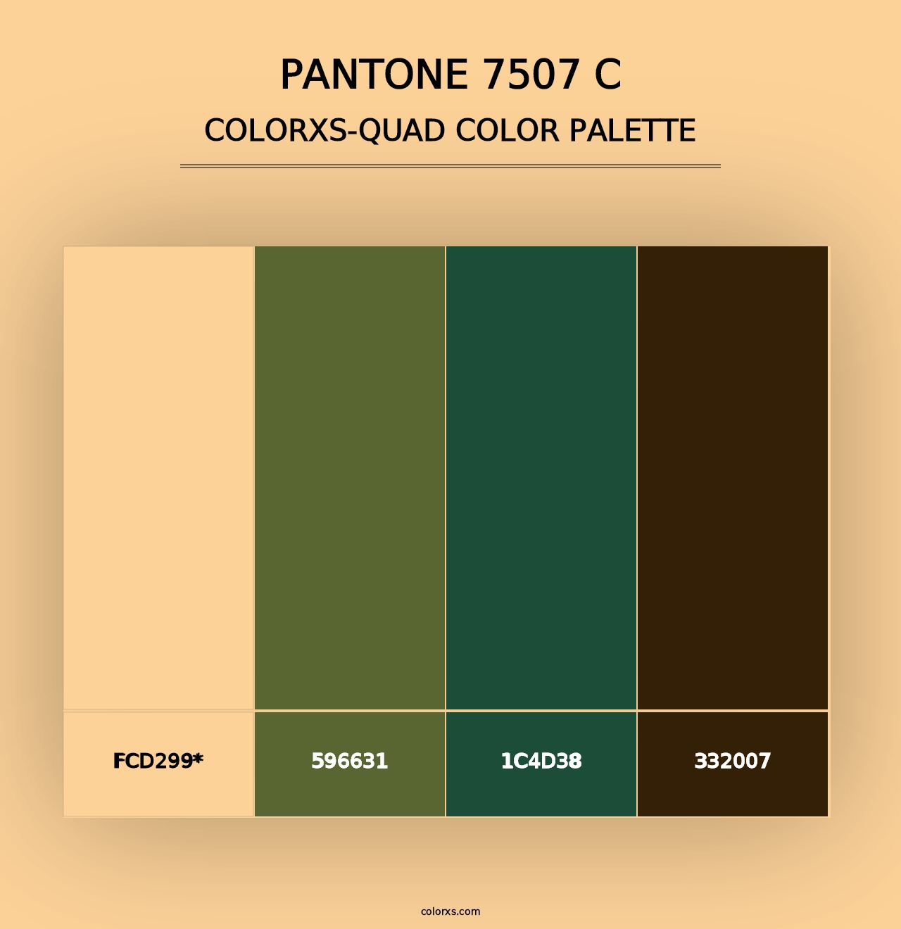 PANTONE 7507 C - Colorxs Quad Palette