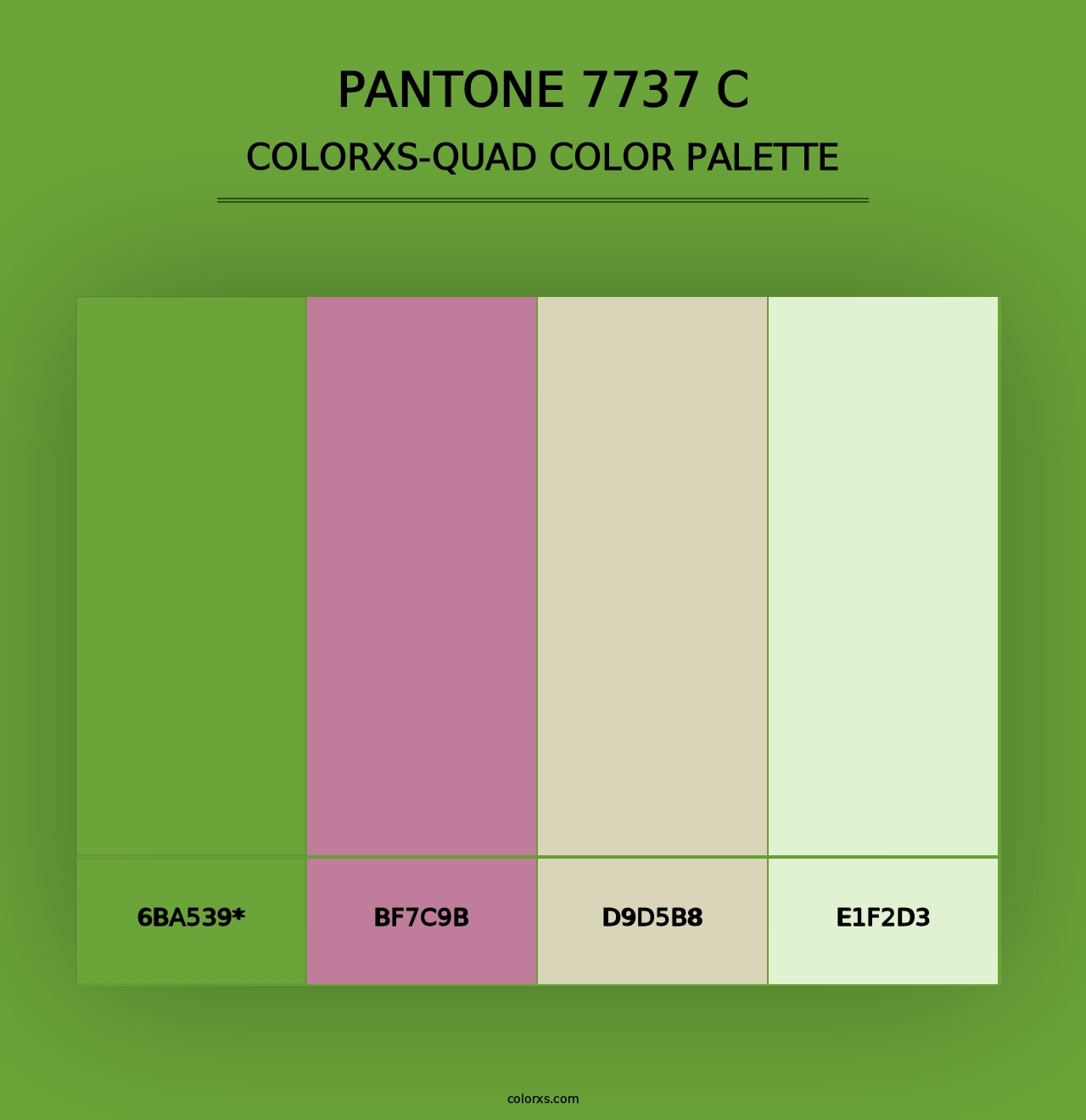 PANTONE 7737 C - Colorxs Quad Palette