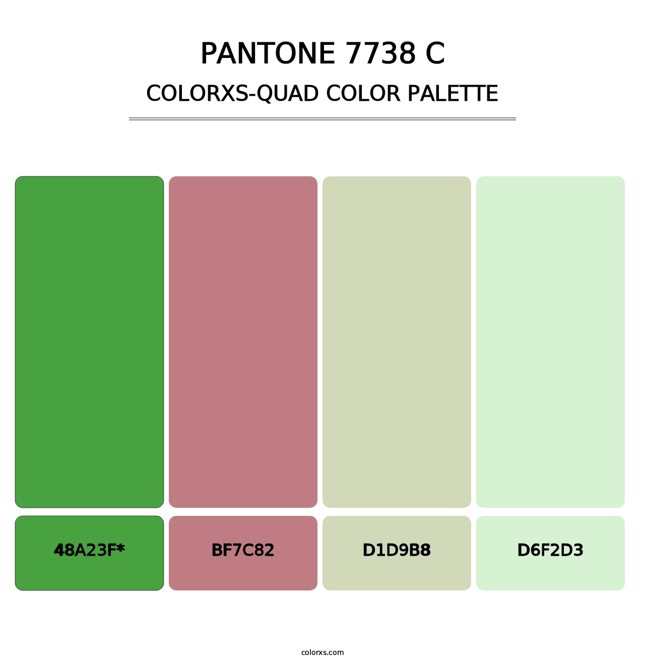 PANTONE 7738 C - Colorxs Quad Palette