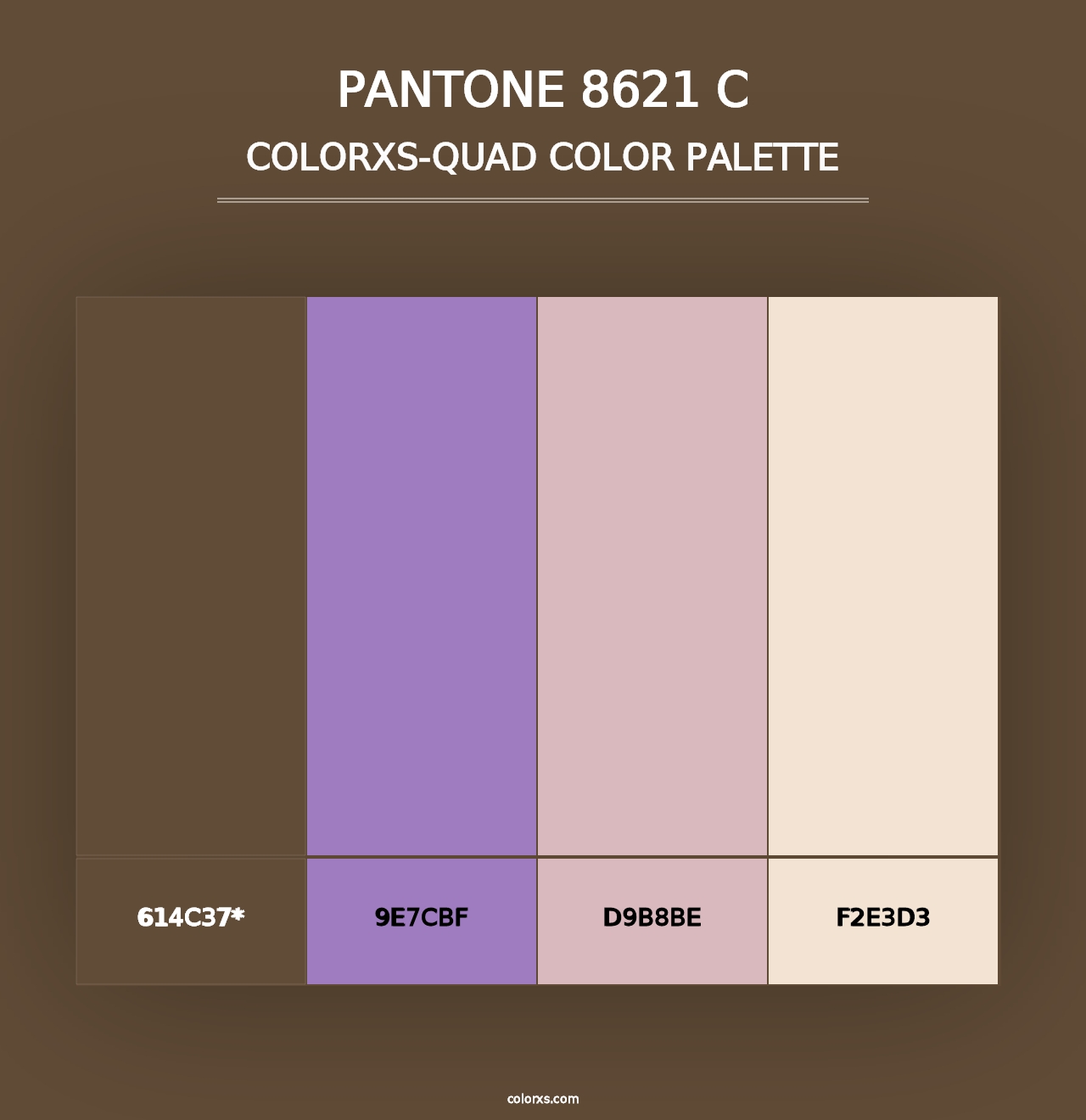 PANTONE 8621 C - Colorxs Quad Palette