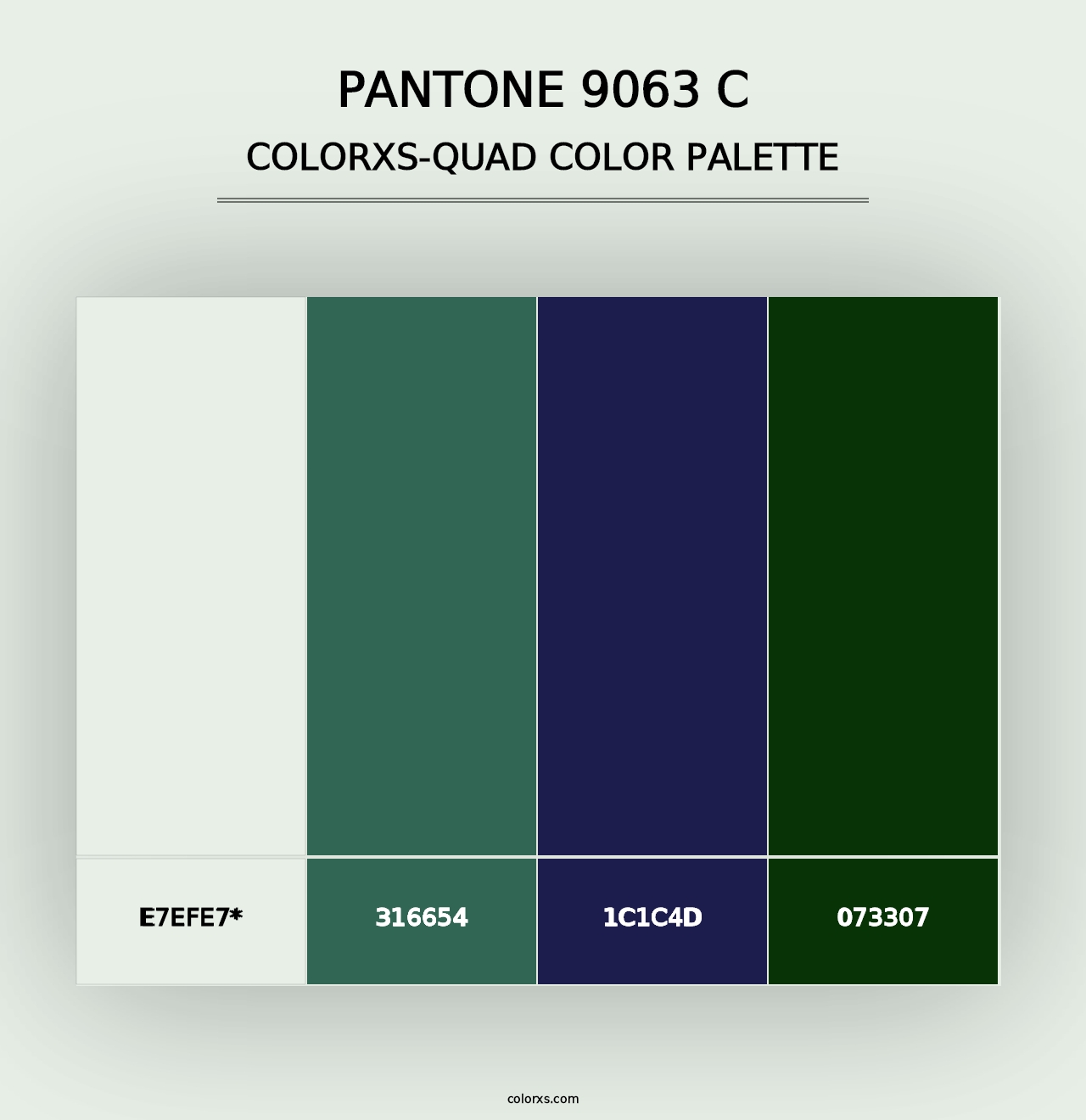 PANTONE 9063 C - Colorxs Quad Palette