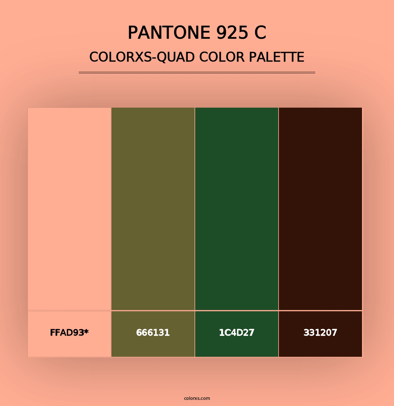 PANTONE 925 C - Colorxs Quad Palette