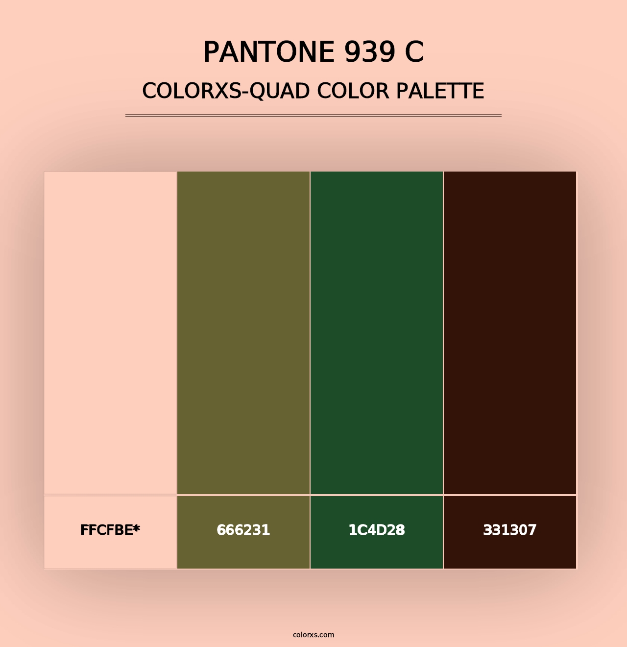 PANTONE 939 C - Colorxs Quad Palette