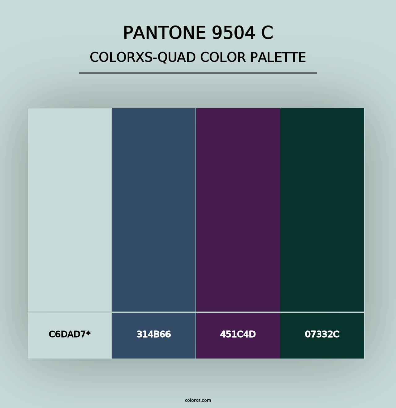 PANTONE 9504 C - Colorxs Quad Palette