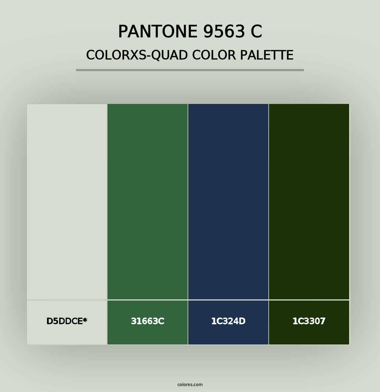 PANTONE 9563 C - Colorxs Quad Palette