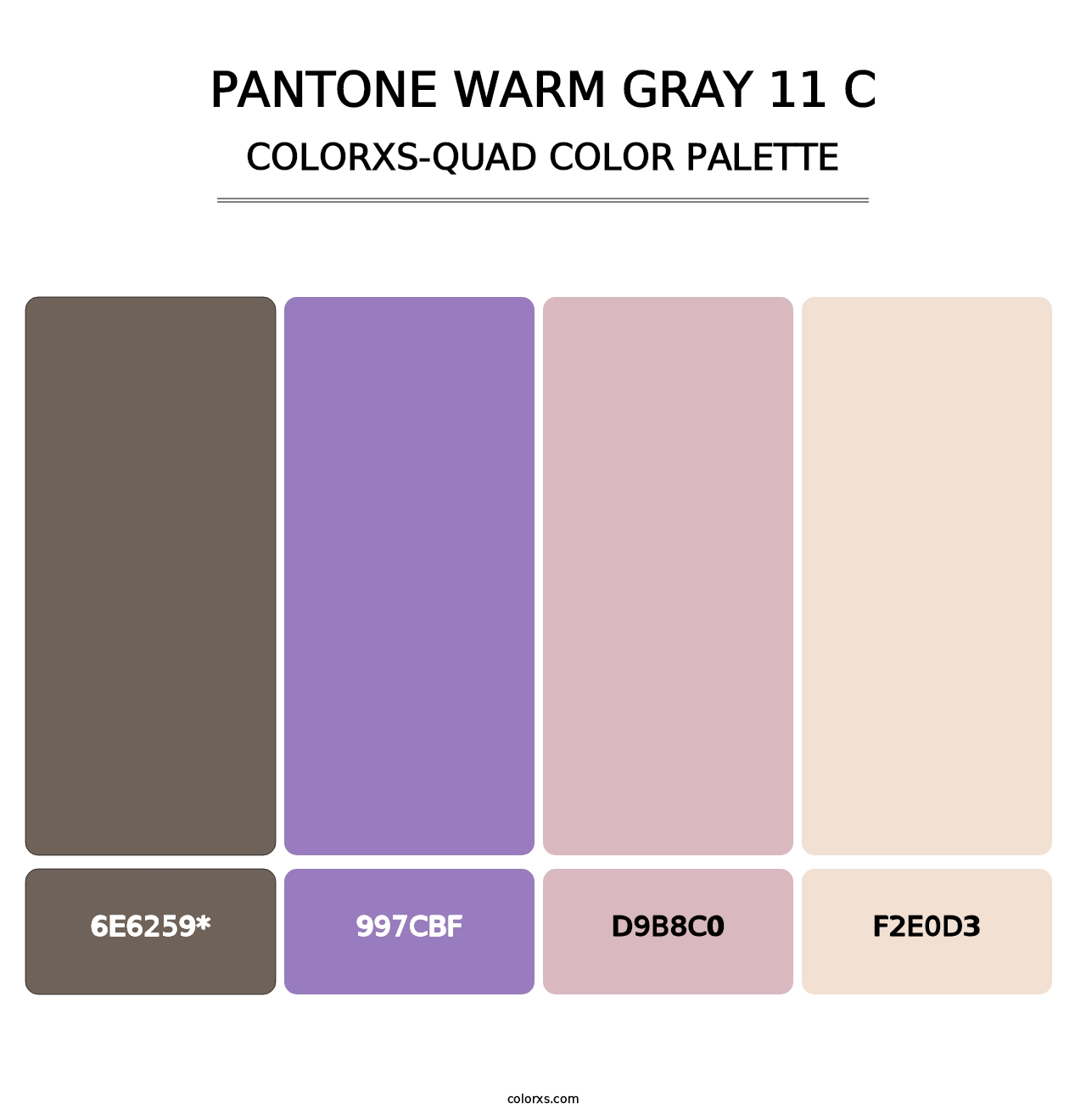 PANTONE Warm Gray 11 C - Colorxs Quad Palette