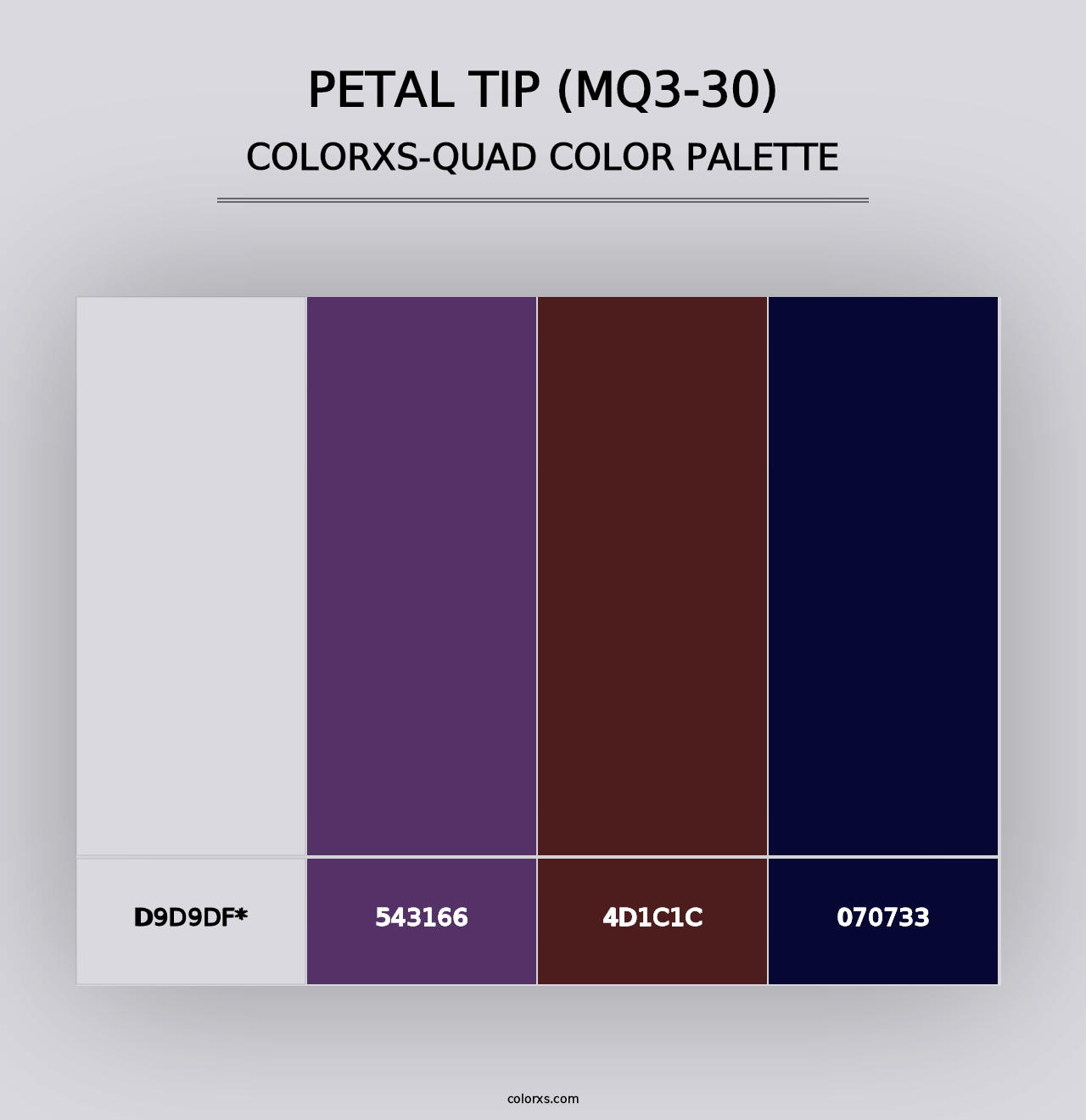 Petal Tip (MQ3-30) - Colorxs Quad Palette