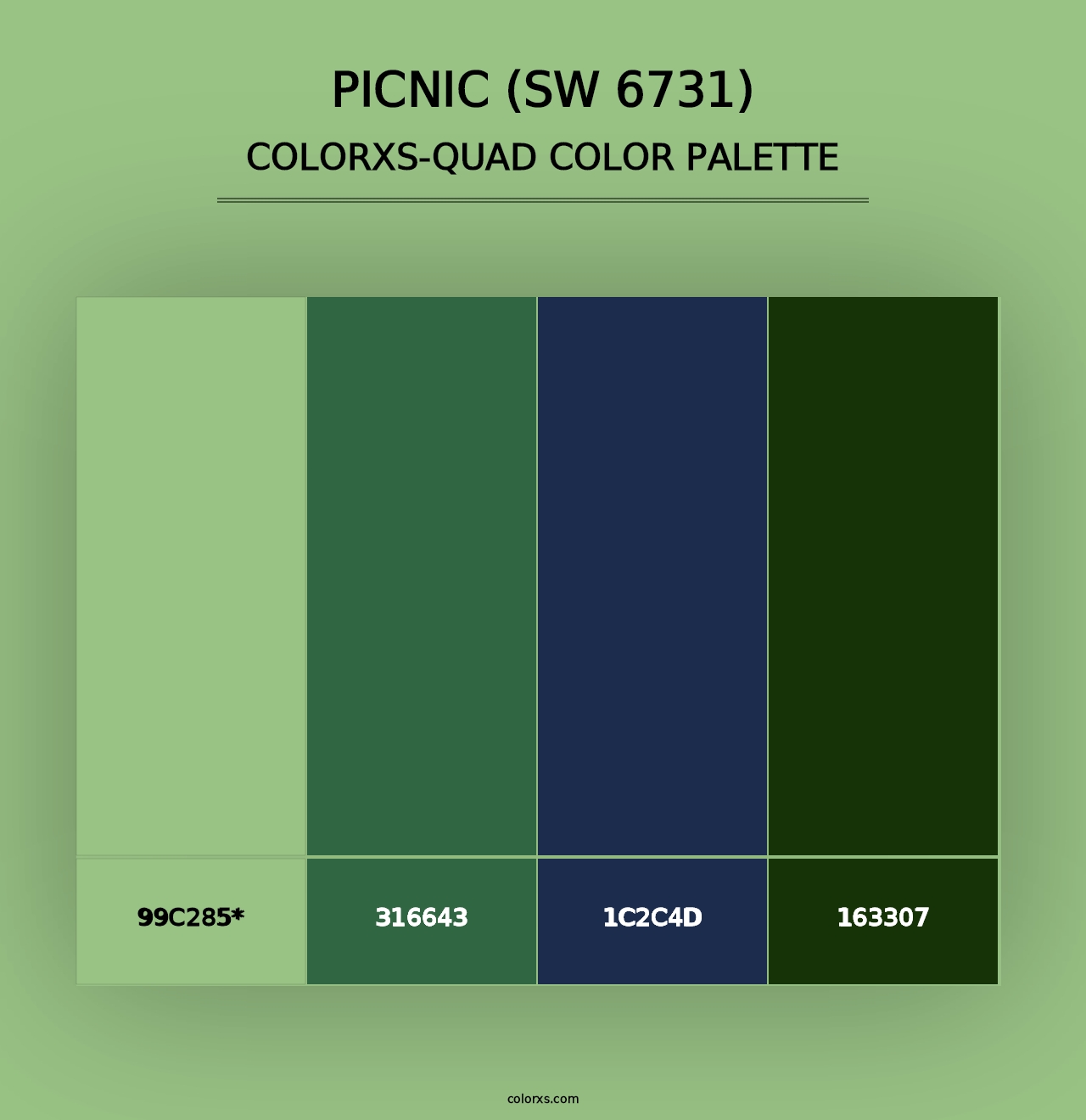 Picnic (SW 6731) - Colorxs Quad Palette