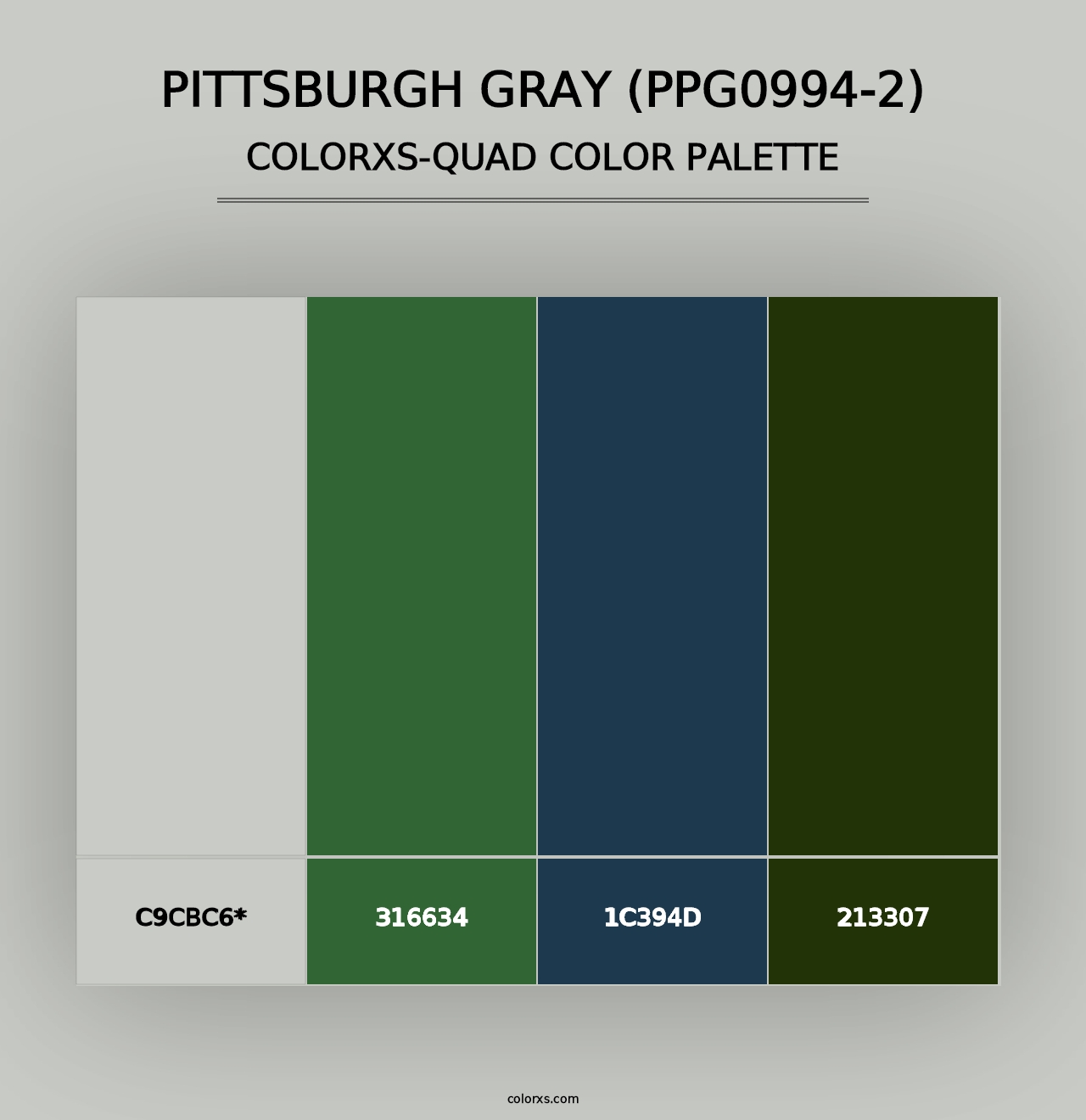 Pittsburgh Gray (PPG0994-2) - Colorxs Quad Palette