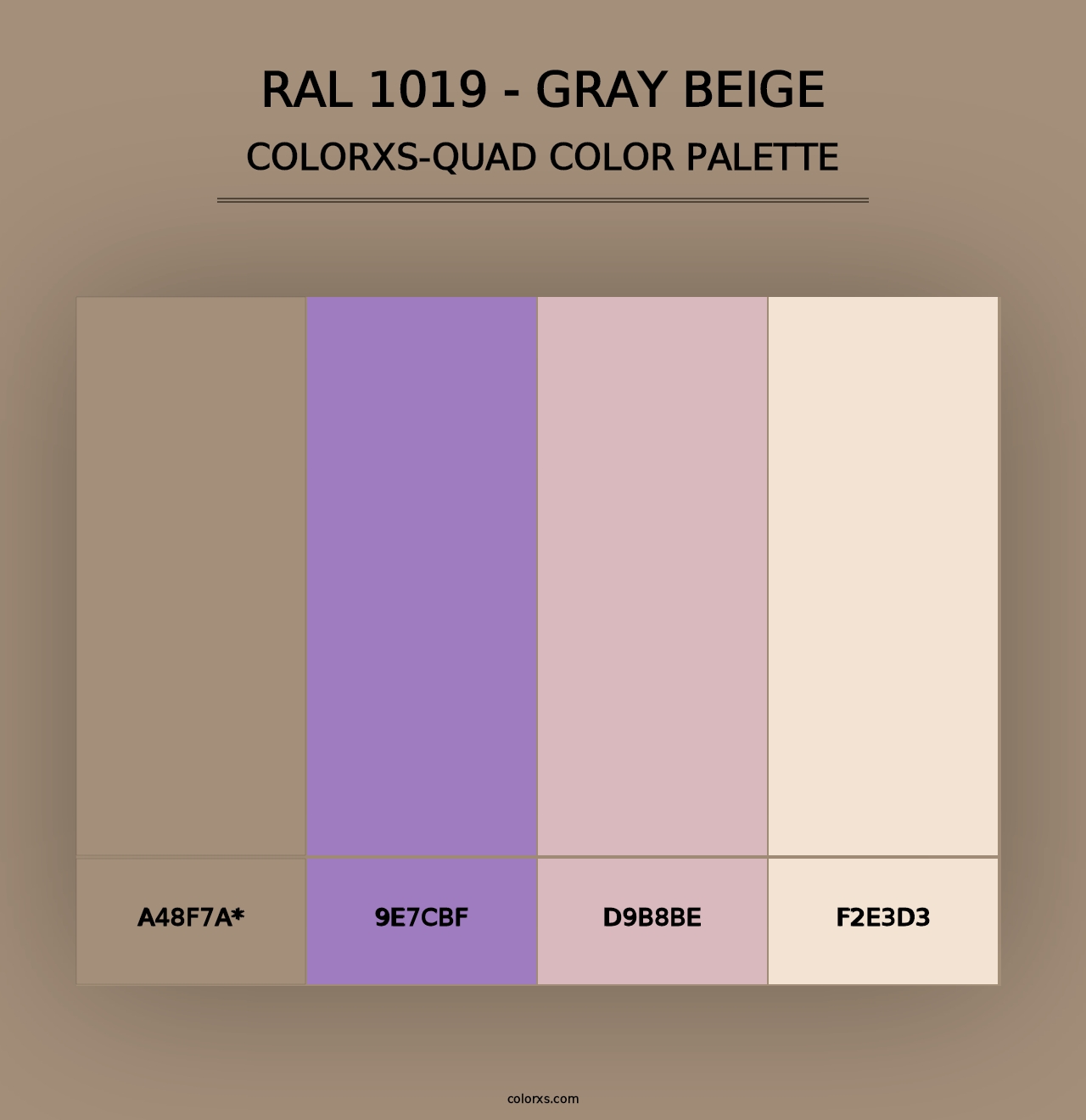 RAL 1019 - Gray Beige - Colorxs Quad Palette