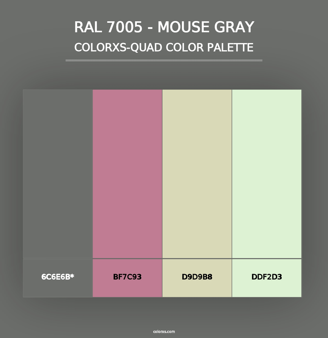 RAL 7005 - Mouse Gray - Colorxs Quad Palette