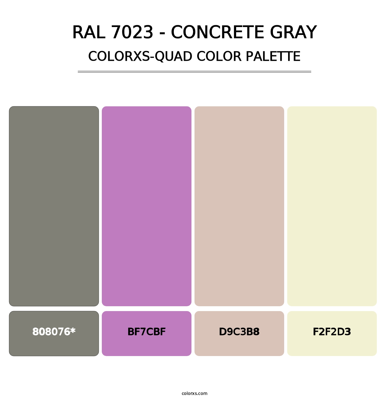 RAL 7023 - Concrete Gray - Colorxs Quad Palette