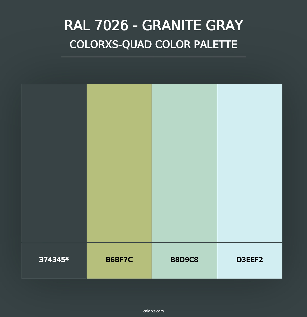 RAL 7026 - Granite Gray - Colorxs Quad Palette