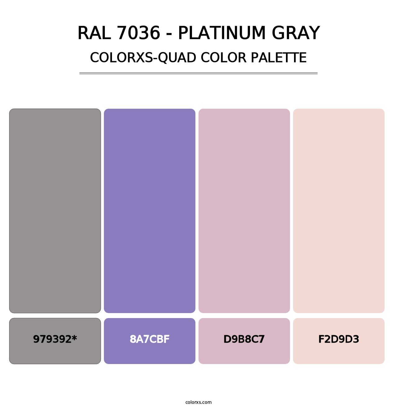 RAL 7036 - Platinum Gray - Colorxs Quad Palette