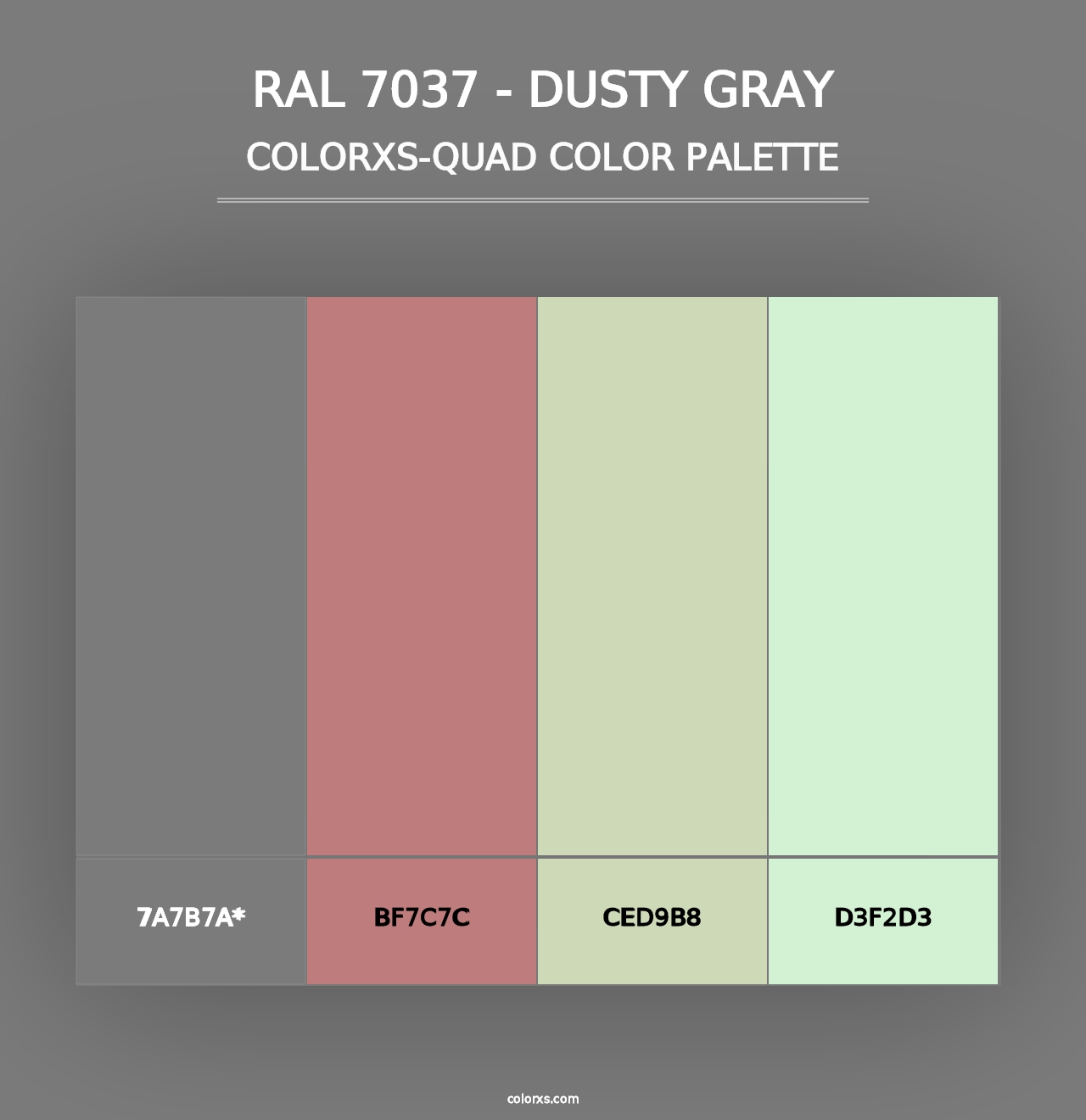 RAL 7037 - Dusty Gray - Colorxs Quad Palette