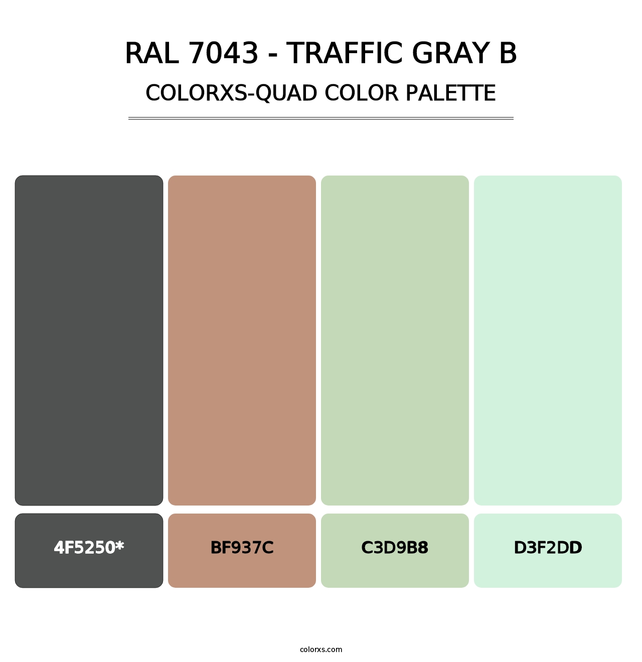 RAL 7043 - Traffic Gray B - Colorxs Quad Palette