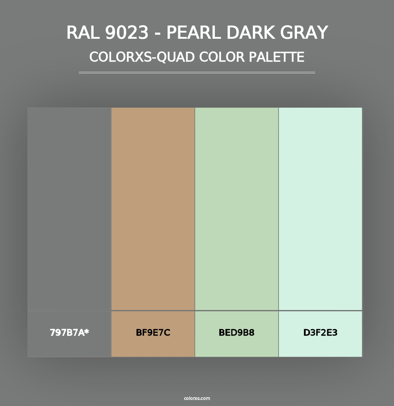 RAL 9023 - Pearl Dark Gray - Colorxs Quad Palette