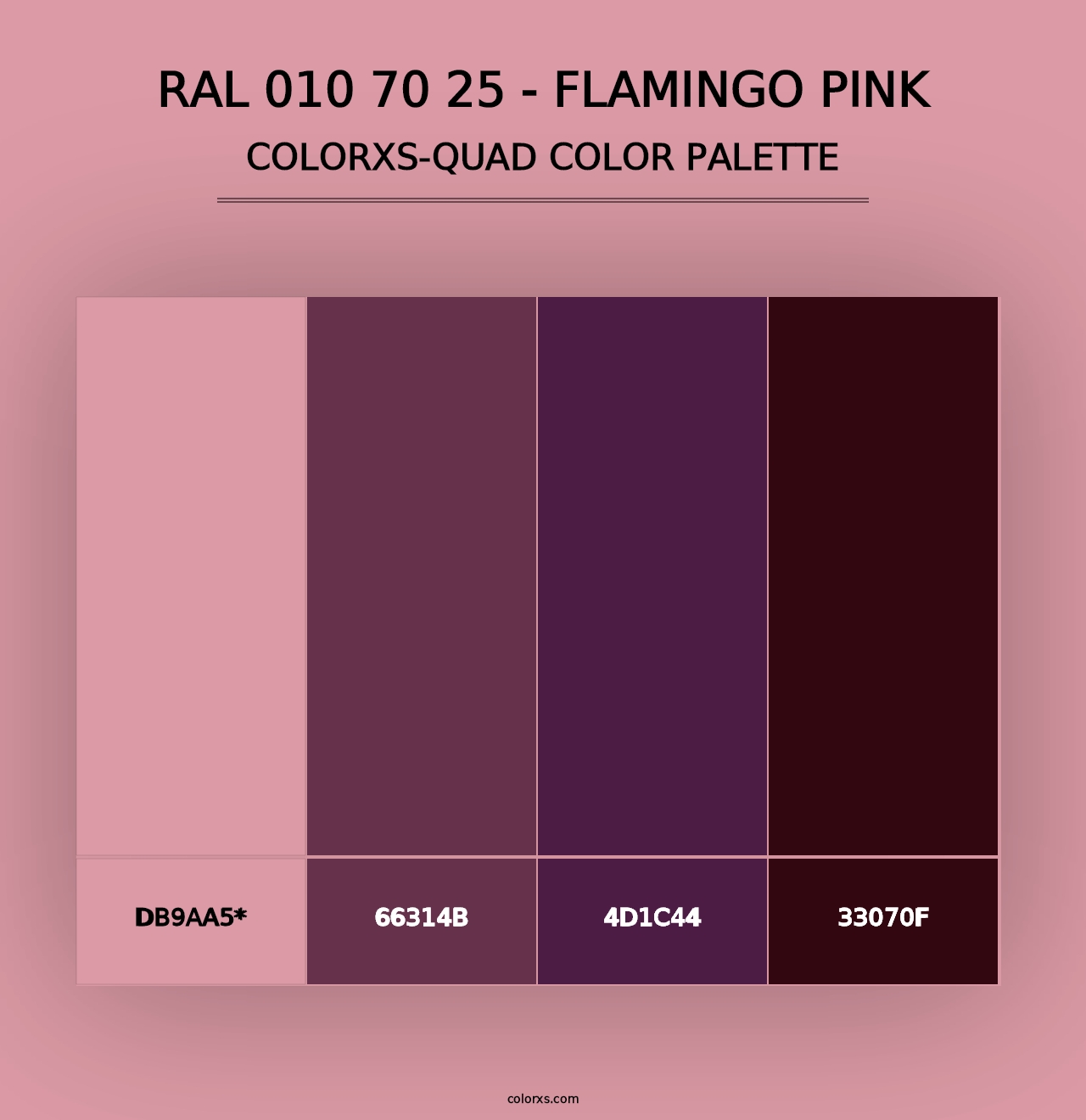 RAL 010 70 25 - Flamingo Pink - Colorxs Quad Palette