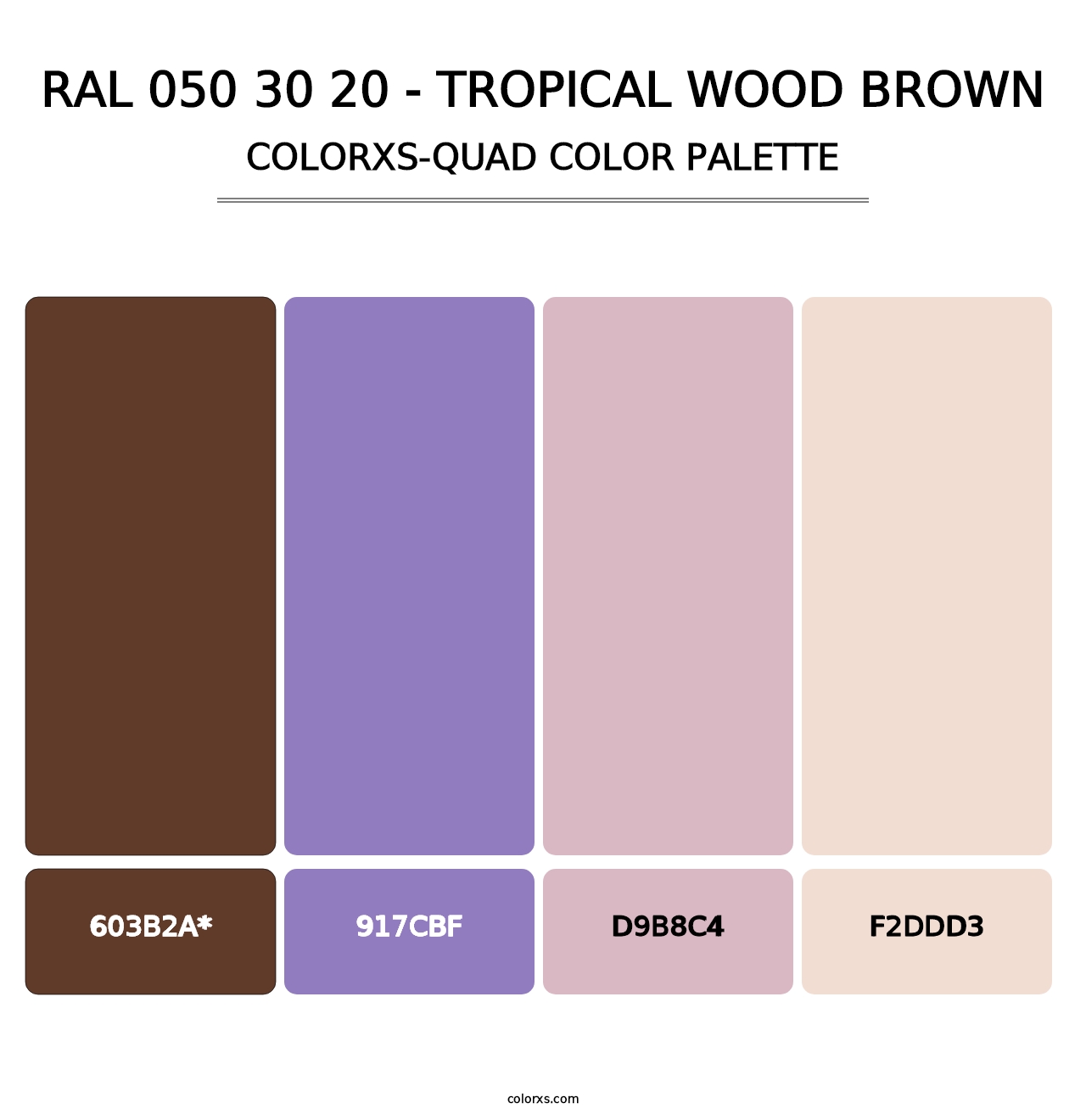 RAL 050 30 20 - Tropical Wood Brown - Colorxs Quad Palette