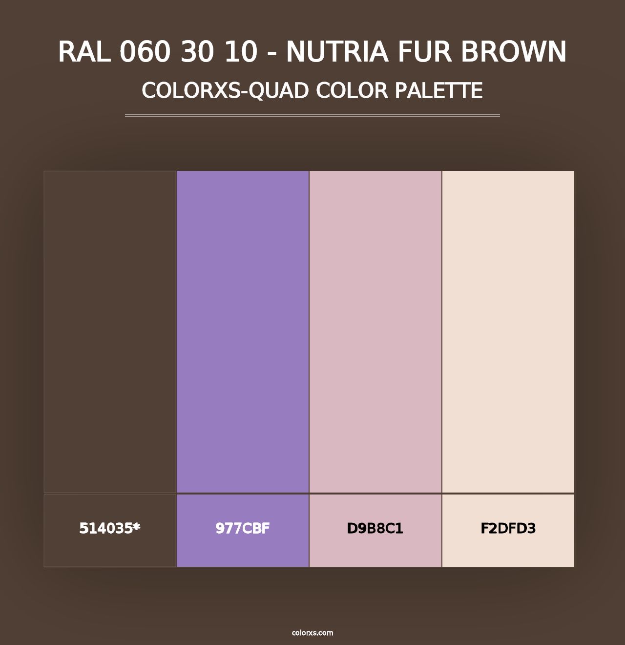 RAL 060 30 10 - Nutria Fur Brown - Colorxs Quad Palette