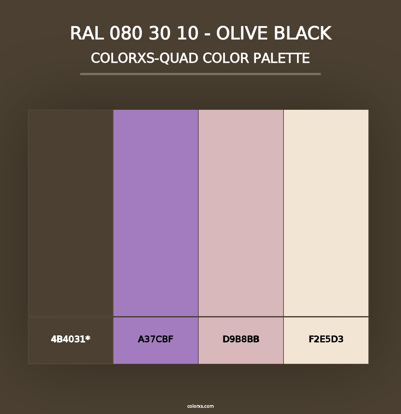 RAL 080 30 10 - Olive Black - Colorxs Quad Palette